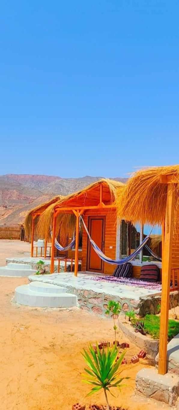 Bungalow with Sea View photo 2