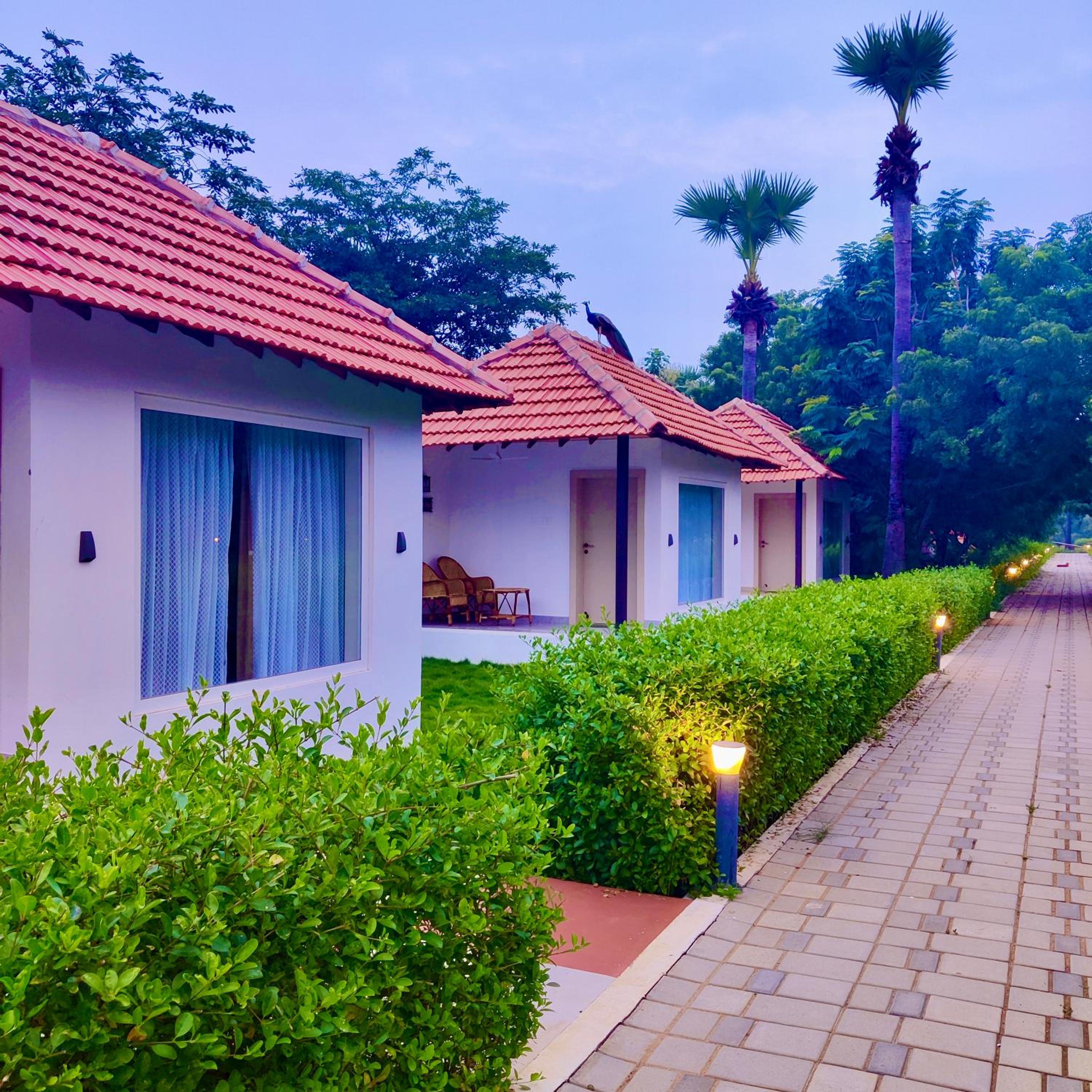 Deluxe Villa photo 3