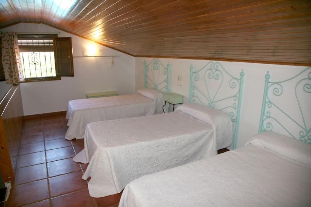 Three-Bedroom House photo 3