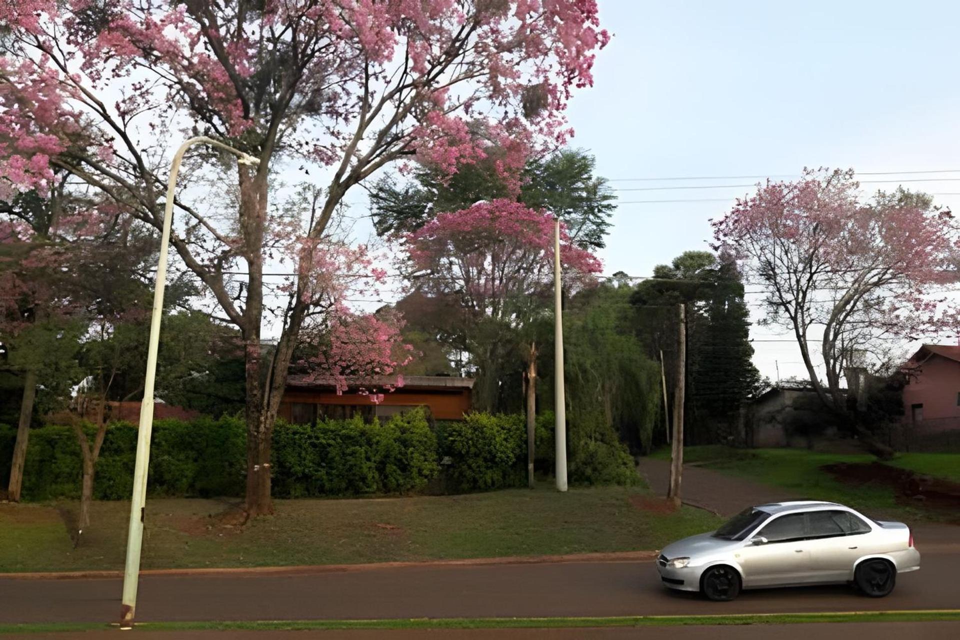 Deluxe Bungalow With Garden View photo 2