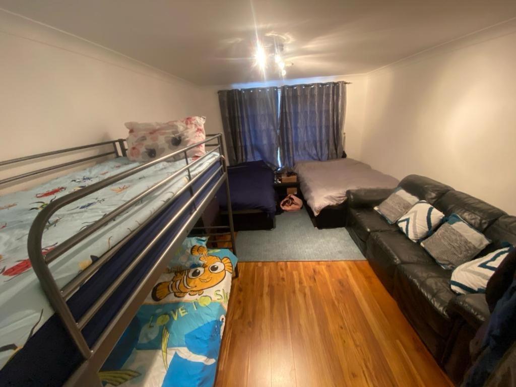 Bunk Bed In Mixed Dormitory Room
