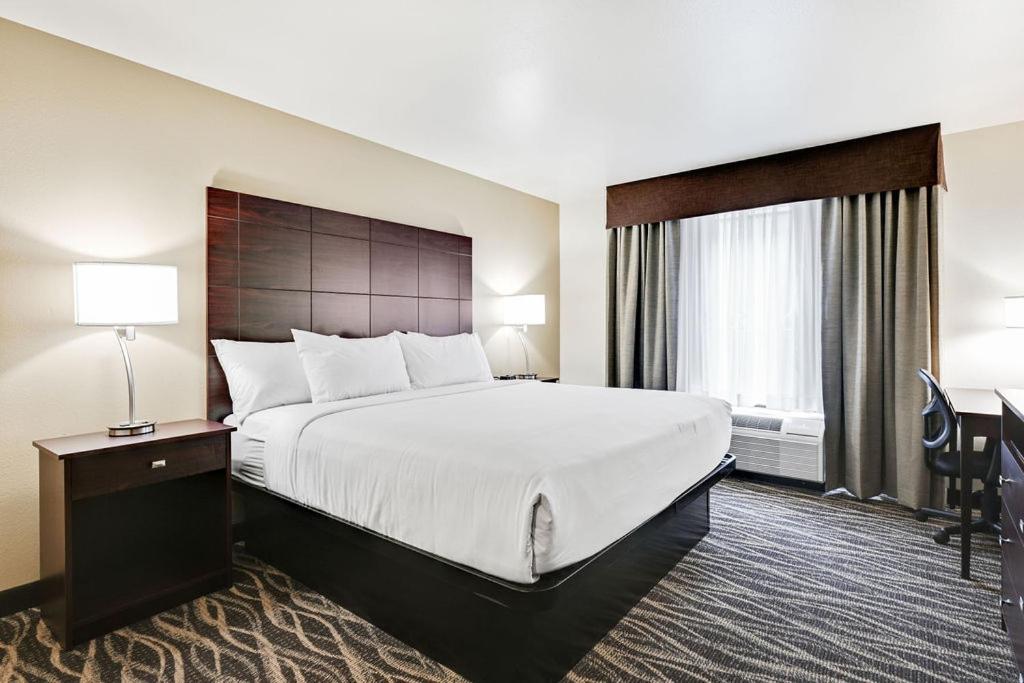 King Room - Disability Access - Photo 7