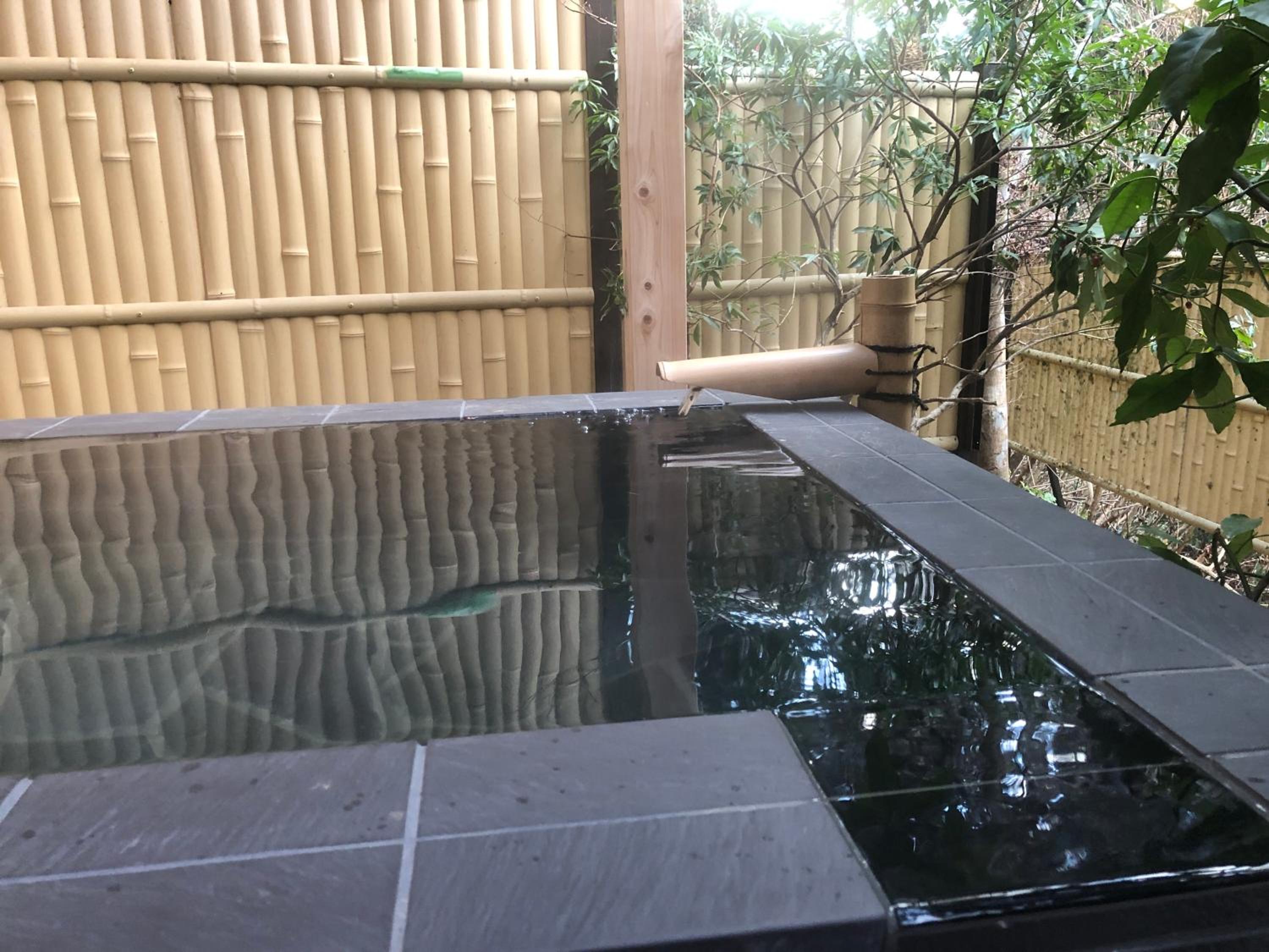 Japanese-Style Standard Room with Open-Air Bath photo 3