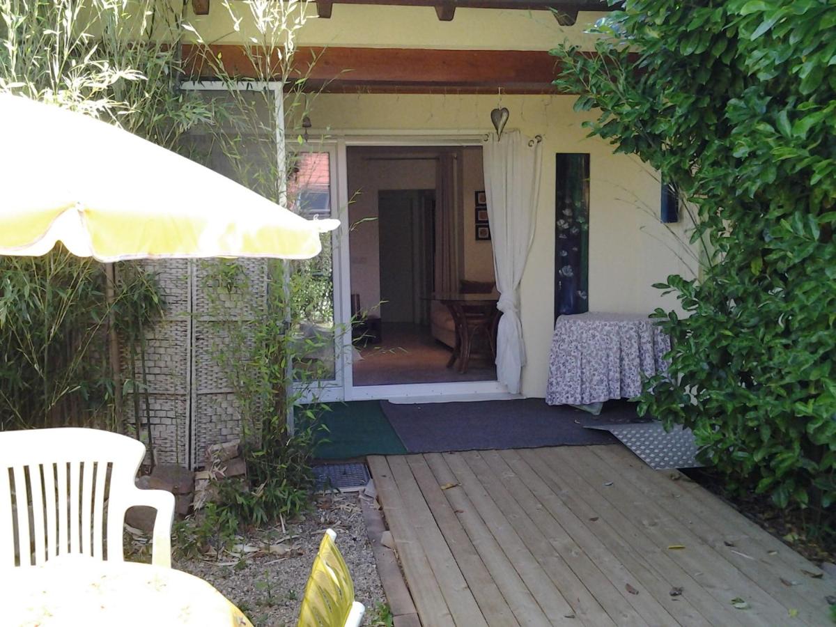 Studio with Terrace photo 2