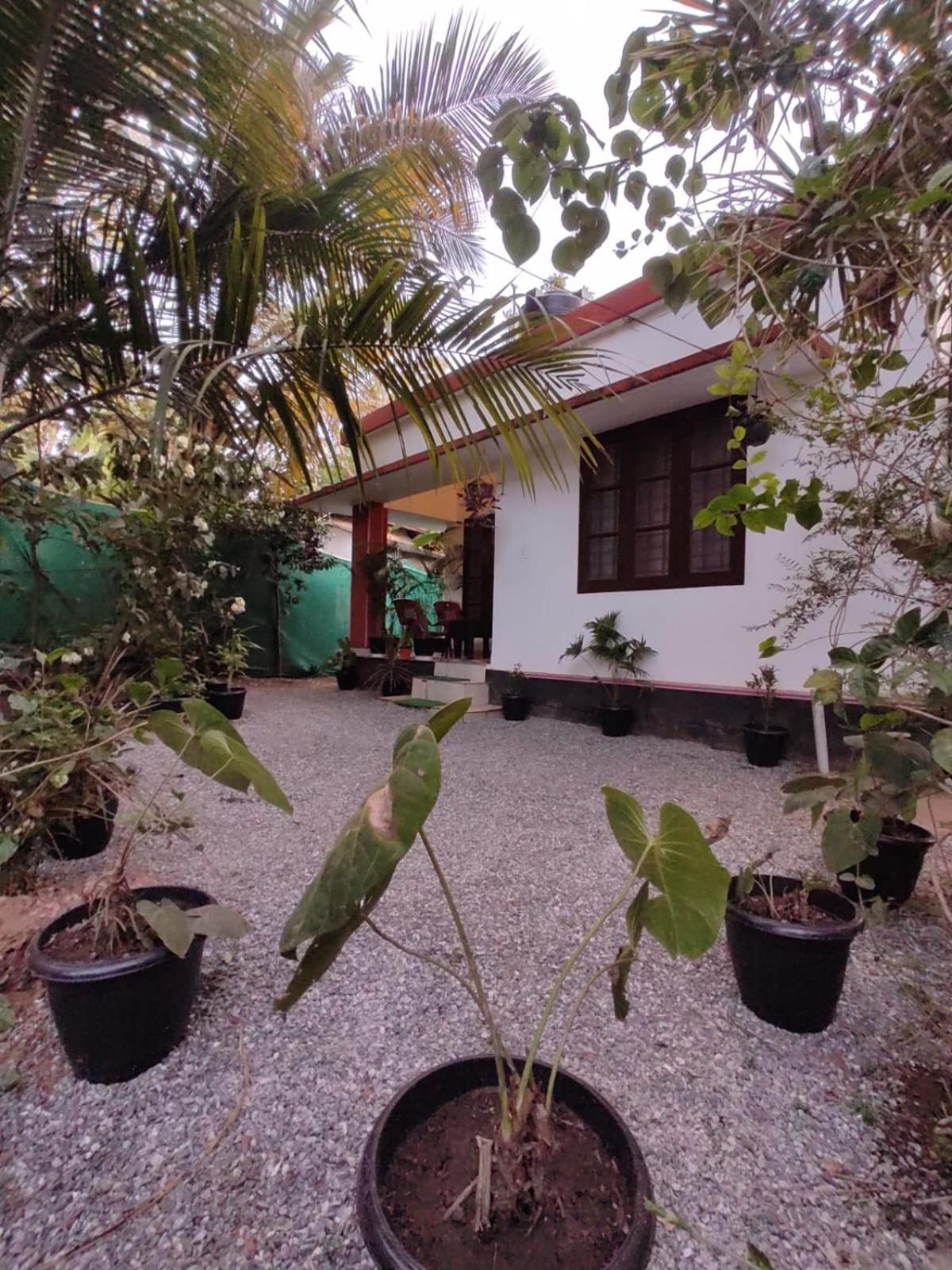 Two-Bedroom Villa photo 2