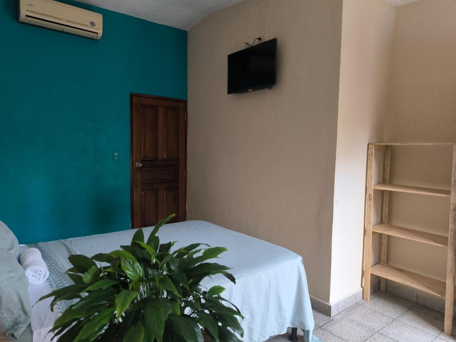 Single Room photo 3
