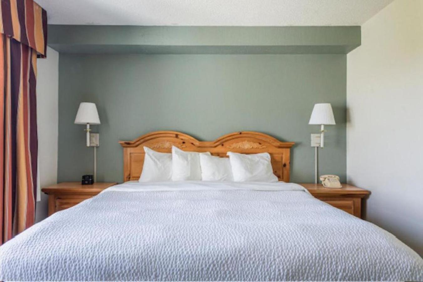One-Bedroom Suite - Photo 9