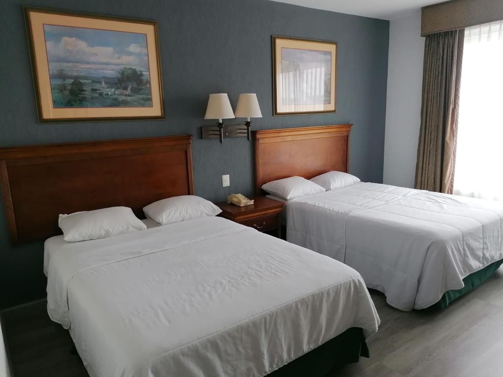 Double Room with Two Double Beds photo 3