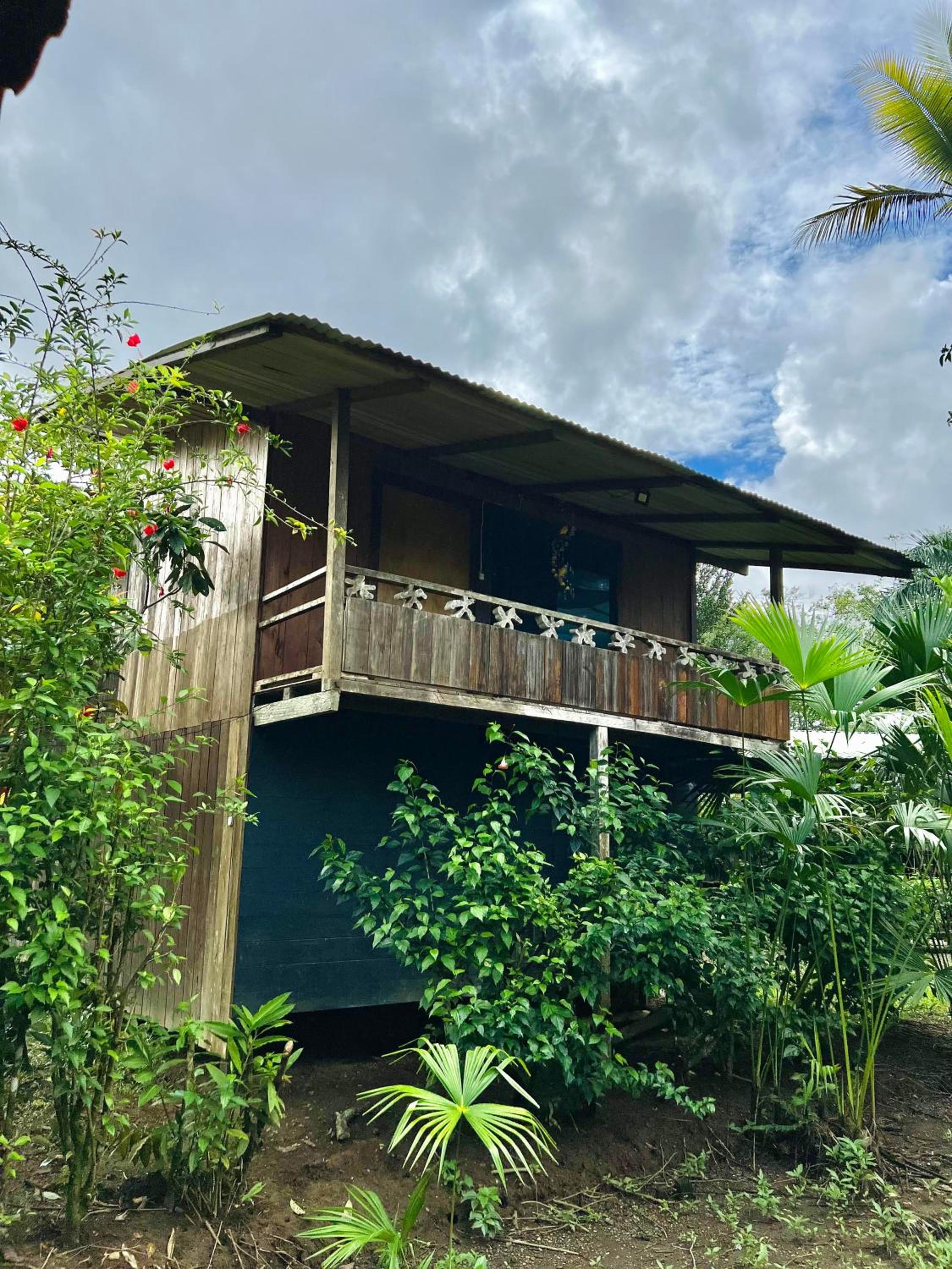 Family Bungalow photo 3