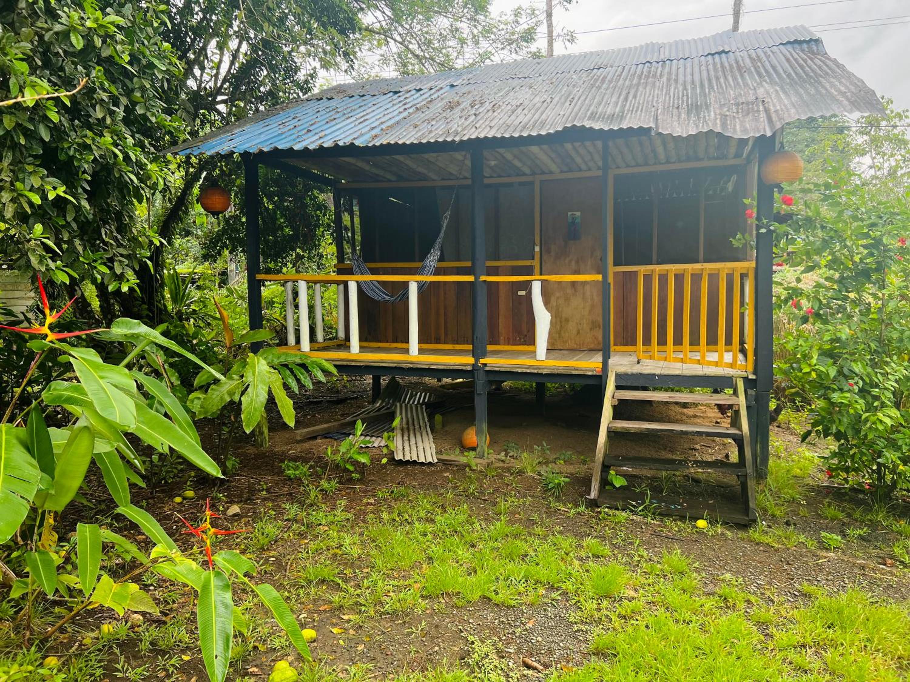 Bungalow With Garden View photo 3