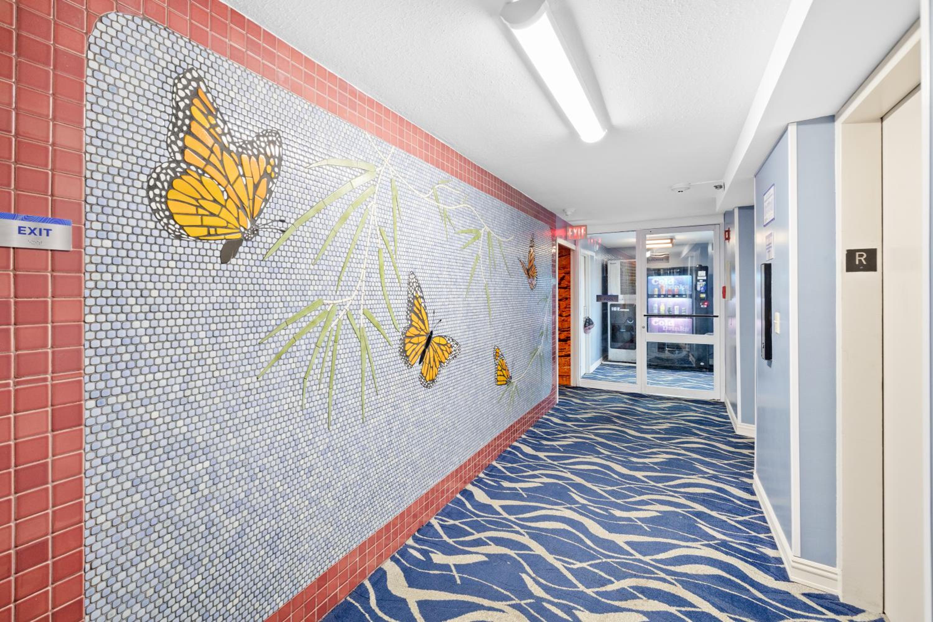 Ocean Retreat: Remodeled Pacific Monarch Haven: One-Bedroom Apartment photo
