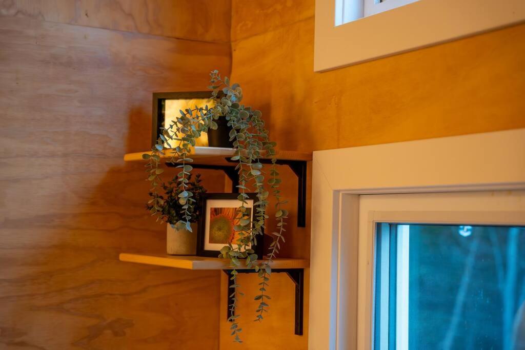 One-Bedroom Chalet photo 3