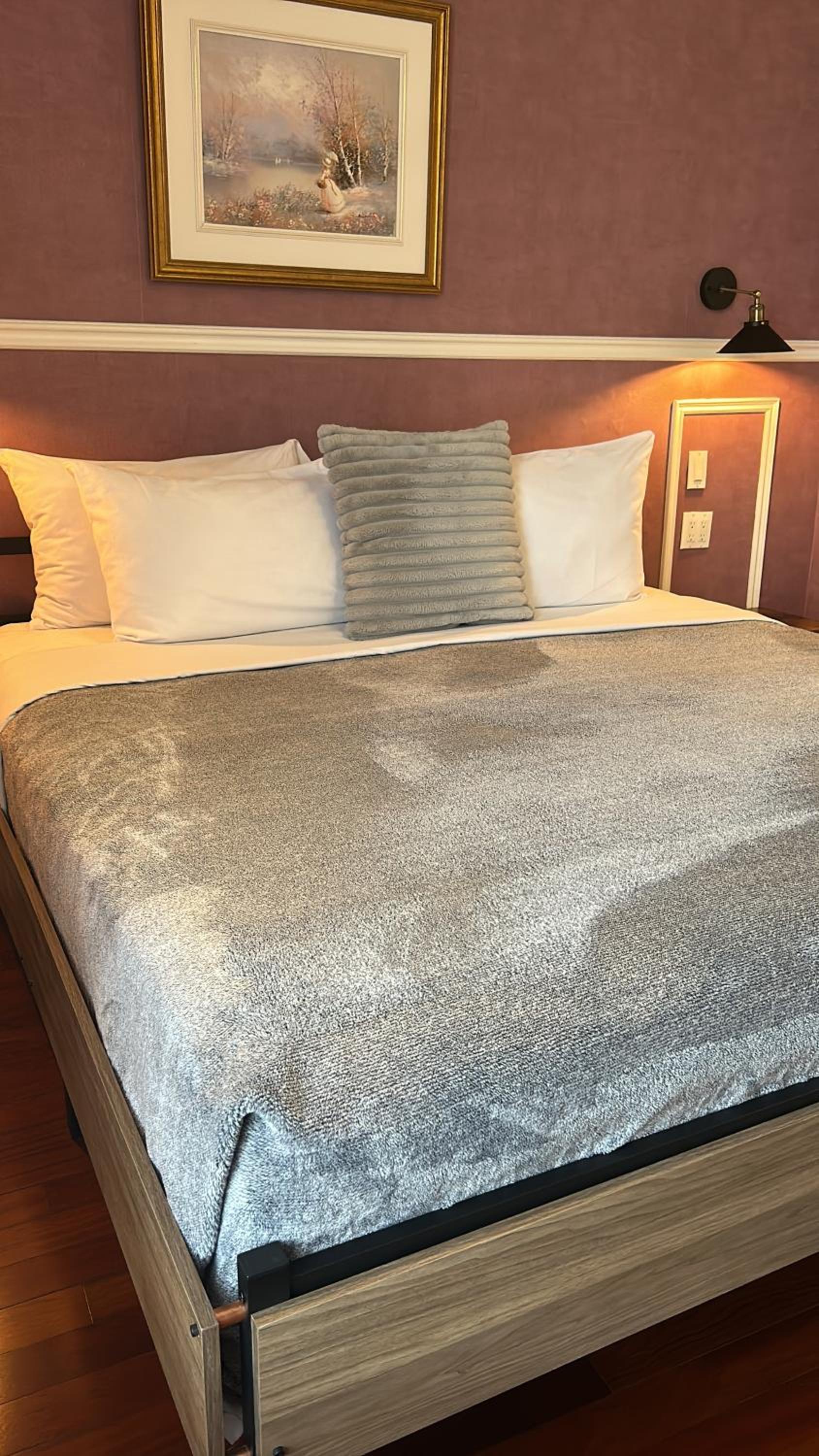 Deluxe King Suite - Photo 14