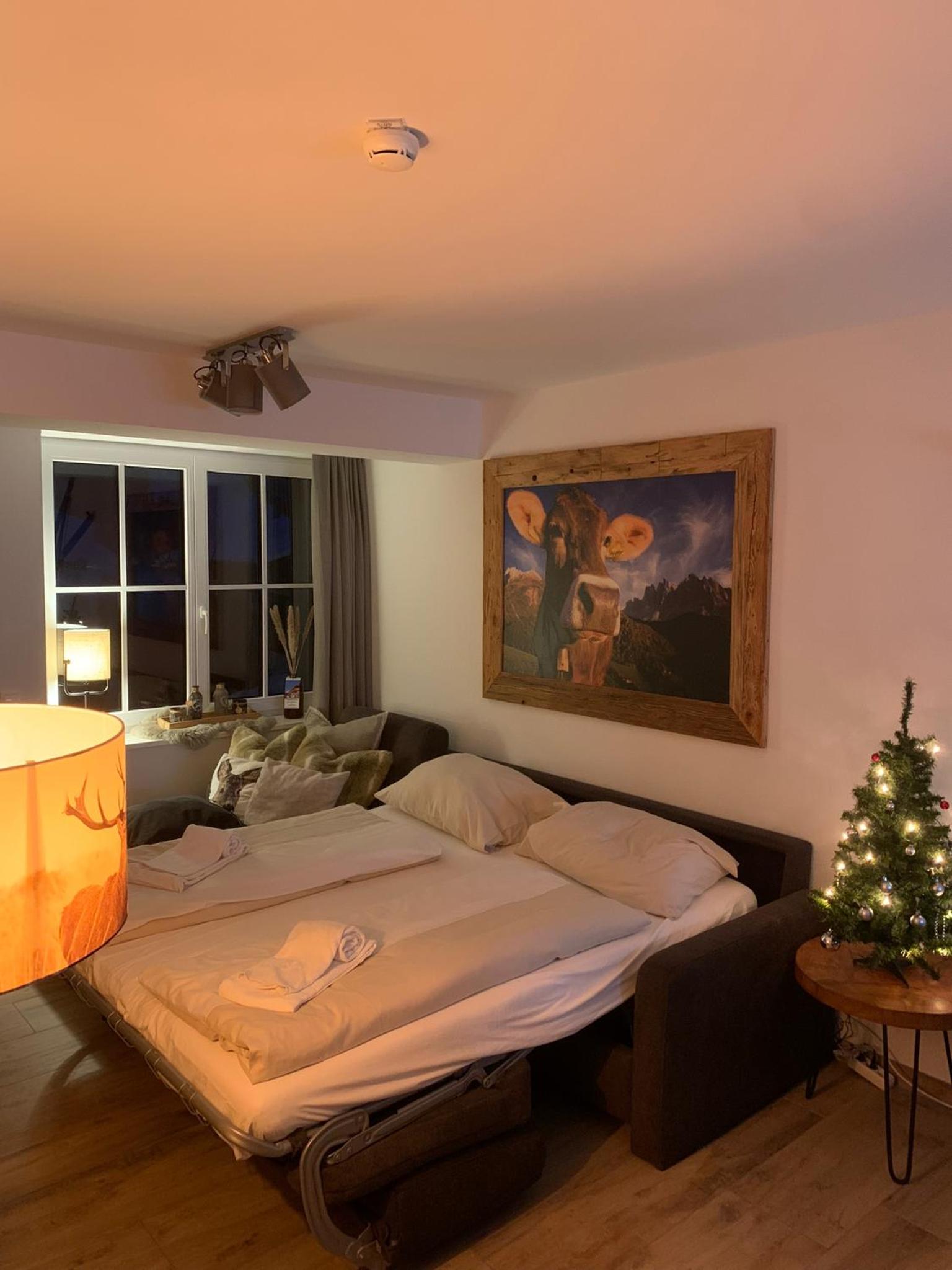 Apartment with Mountain View photo 1