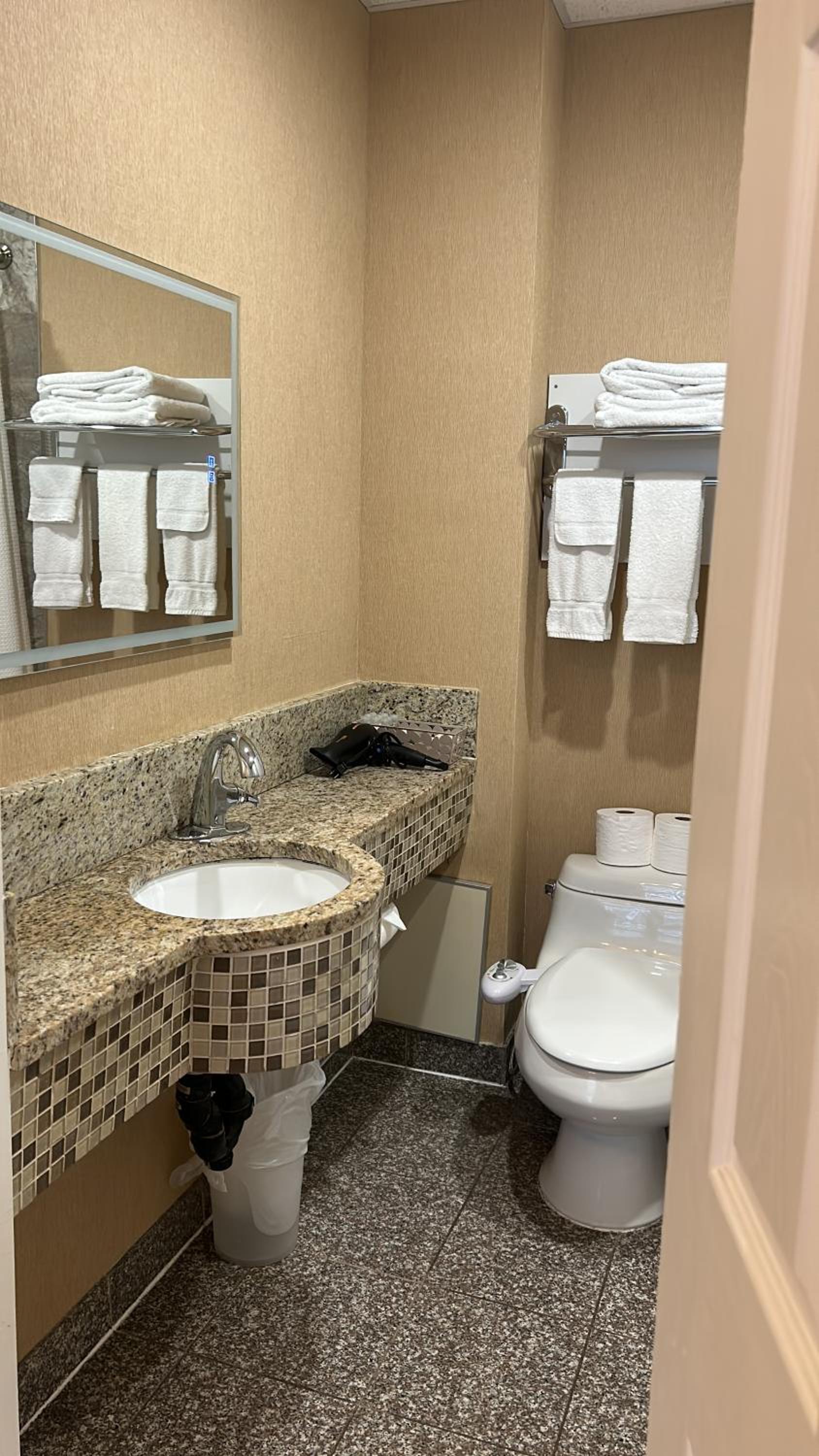 Deluxe King Suite - Photo 10