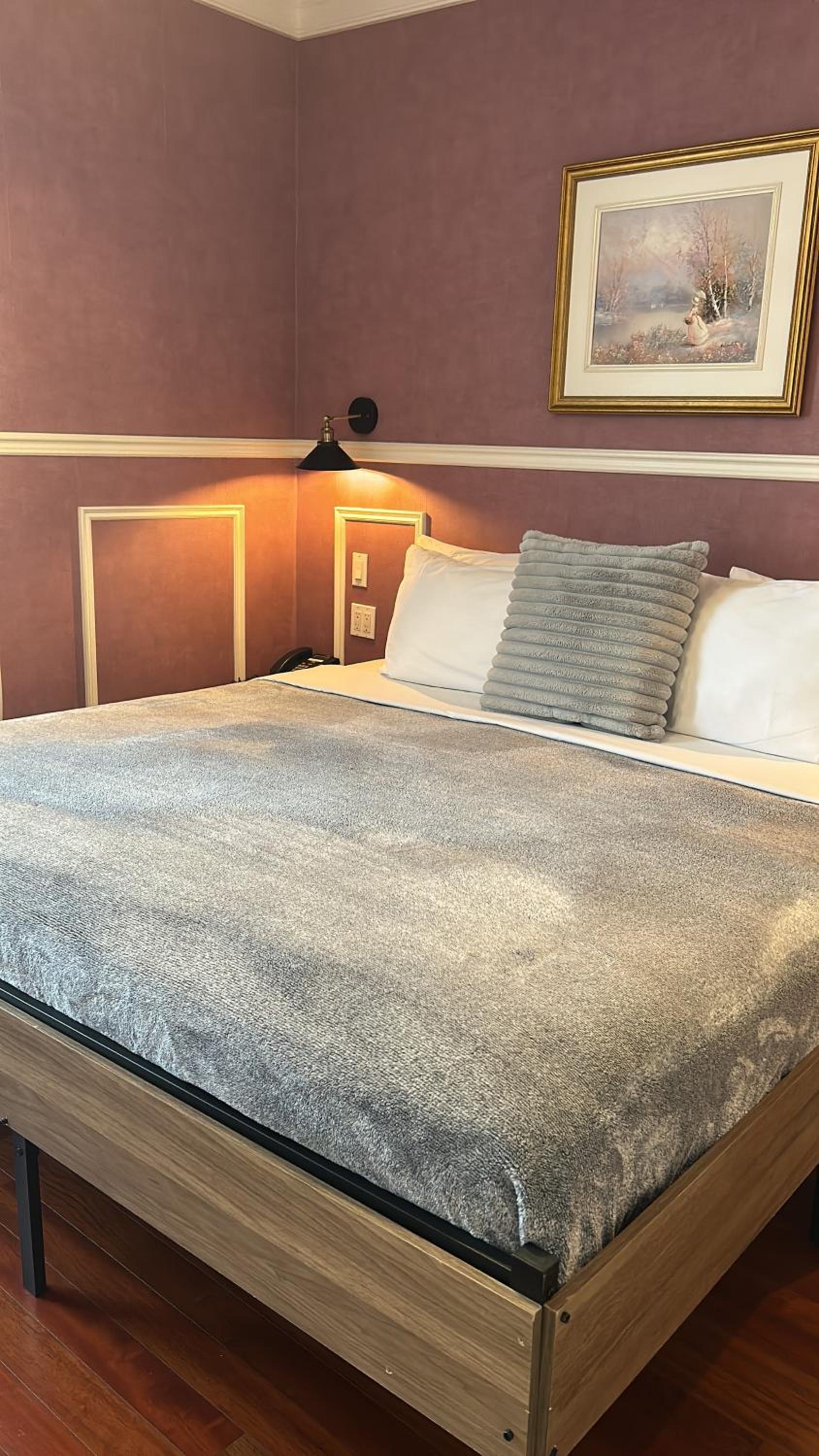 Deluxe King Suite - Photo 17