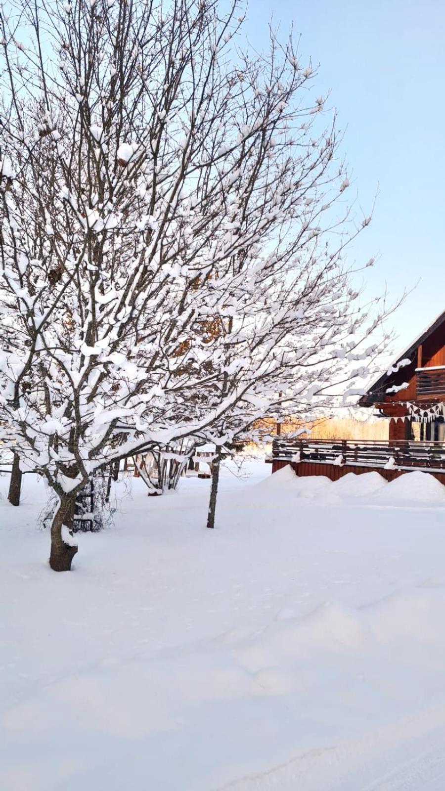 Vacation Home photo 2