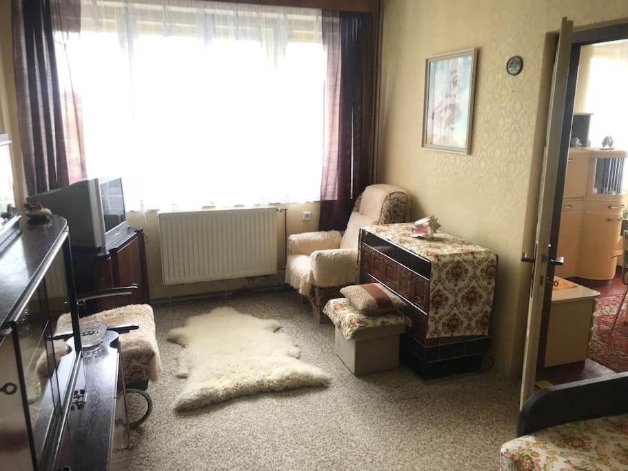 One-Bedroom House photo 2