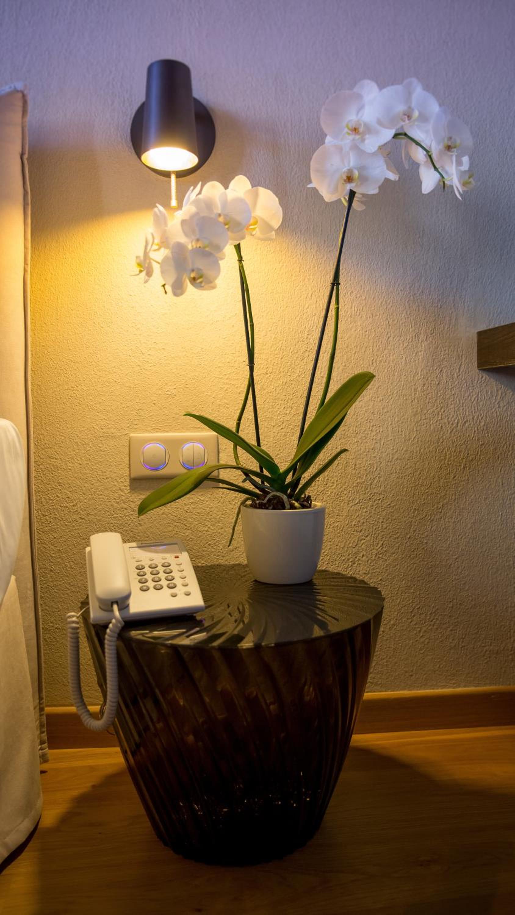 Junior Suite with Body Shower Jets - Callisto photo 2