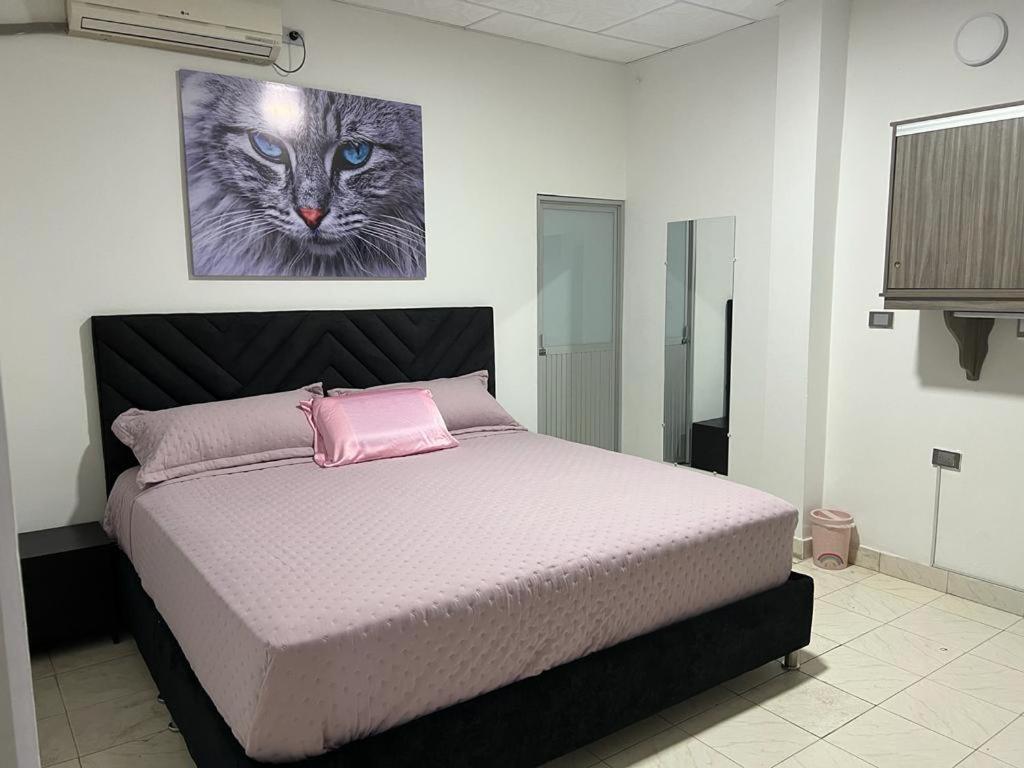 Deluxe King Suite photo 1