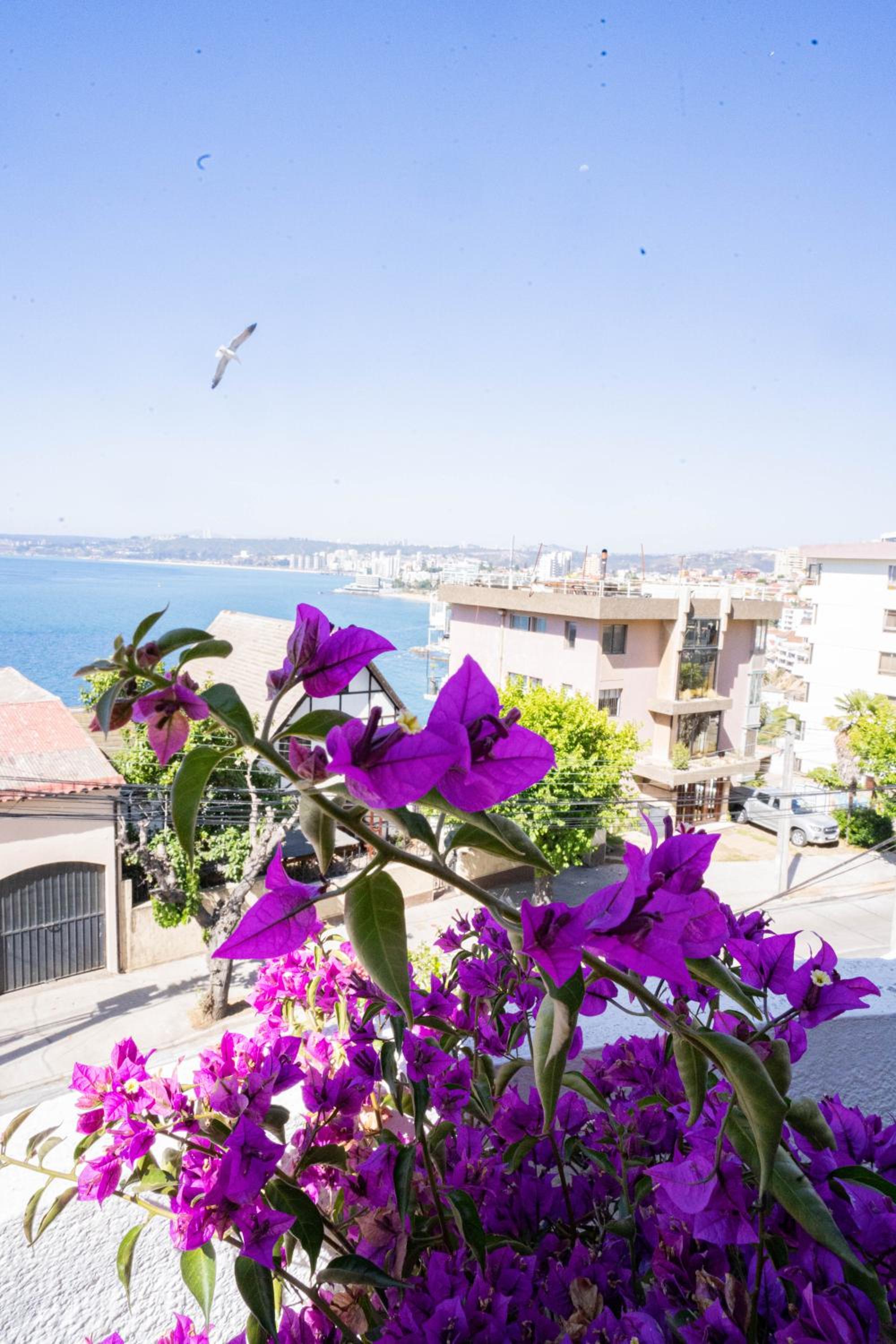 Suite with Sea View photo 3