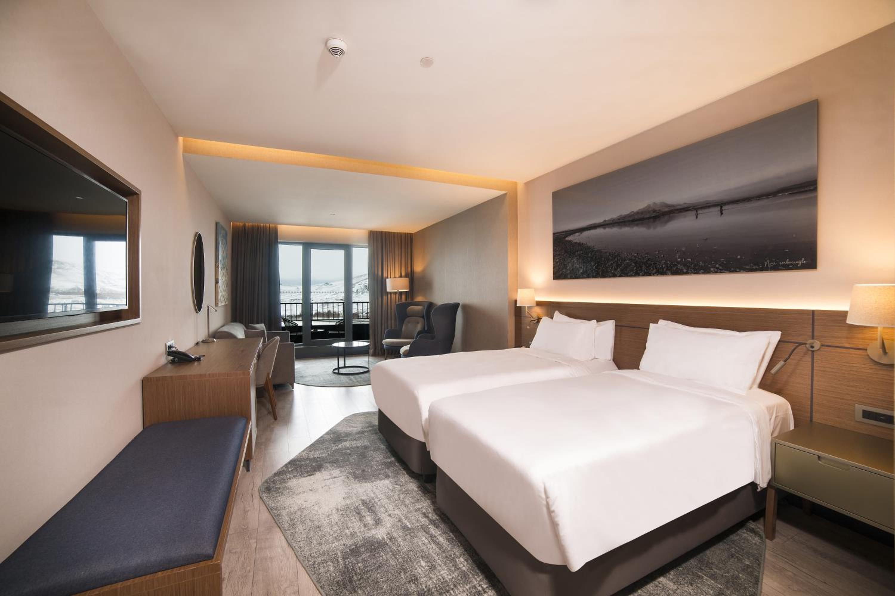 Premium Room with Balcony photo 3