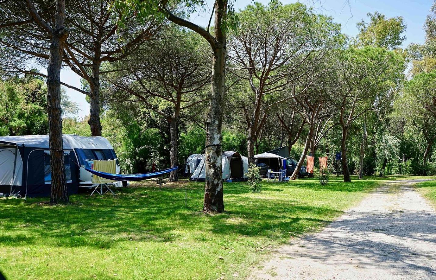 Empty Lot/Piazzola Vuota (Bring Your Own Tent/Caravan/Autocamper) photo 1