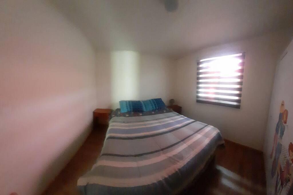 Three-Bedroom Apartment photo 3
