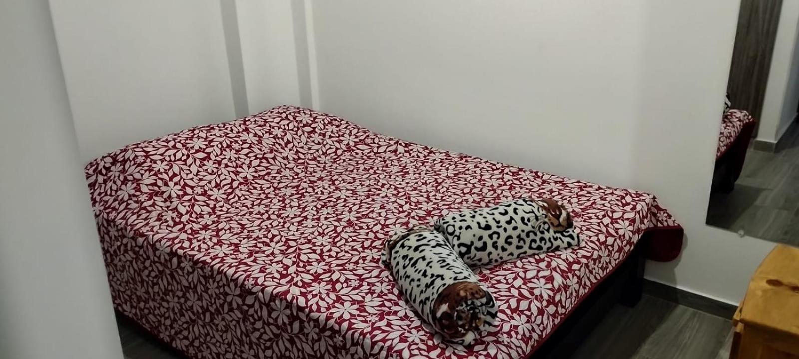 Two-Bedroom Apartment photo 1