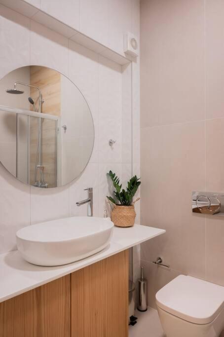 One-Bedroom Apartment photo 3
