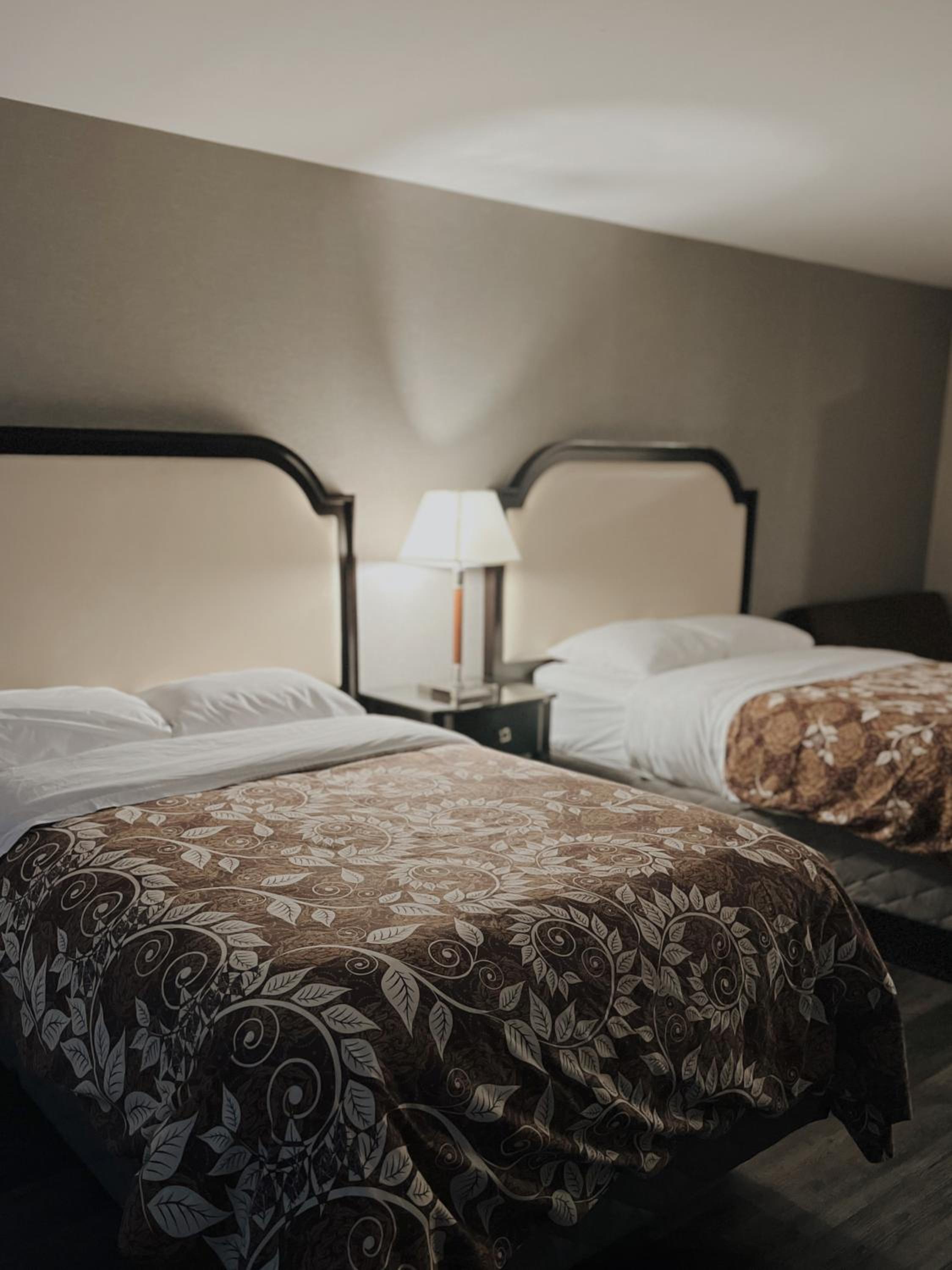 Deluxe Room photo 1