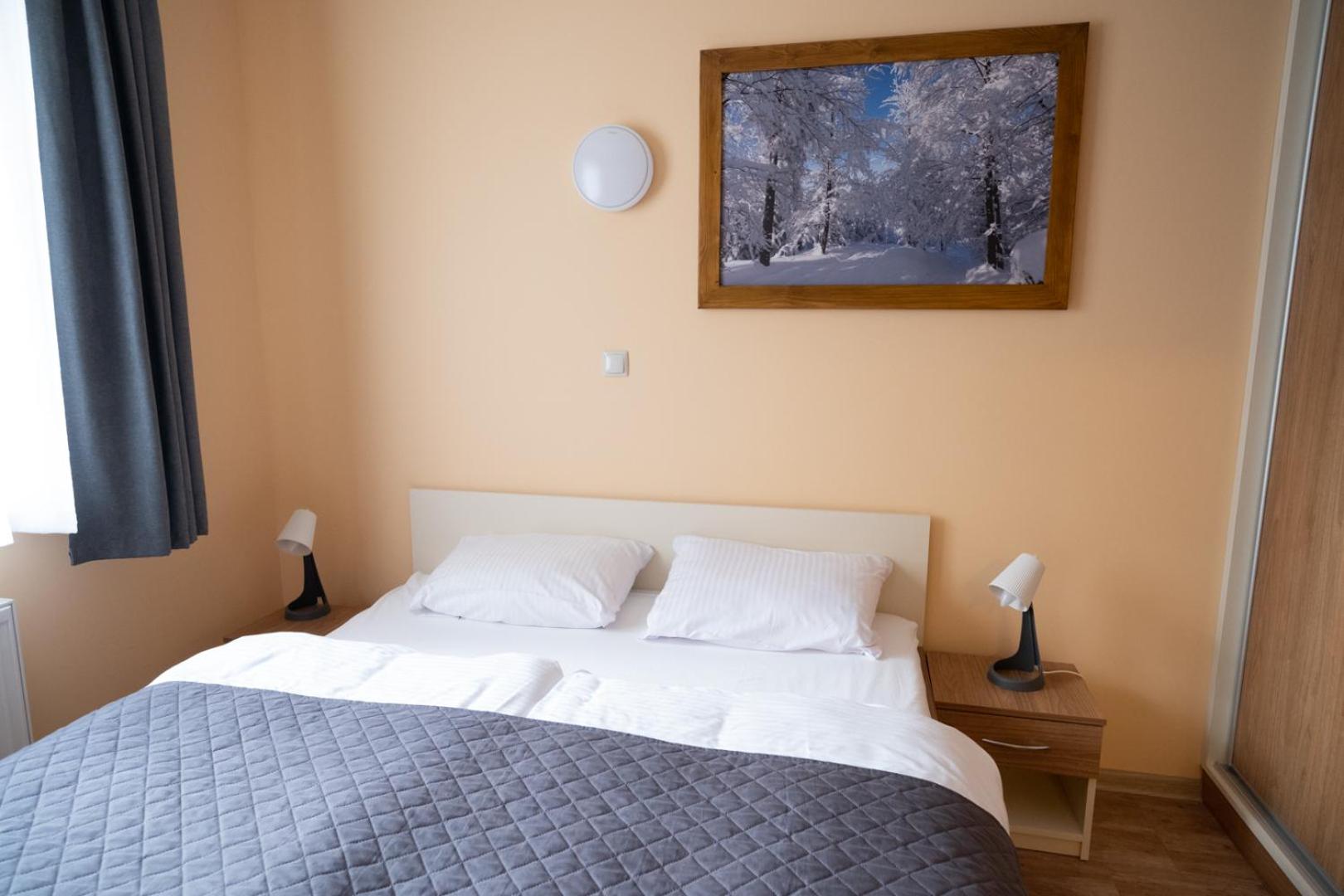 One-Bedroom Apartment photo 2