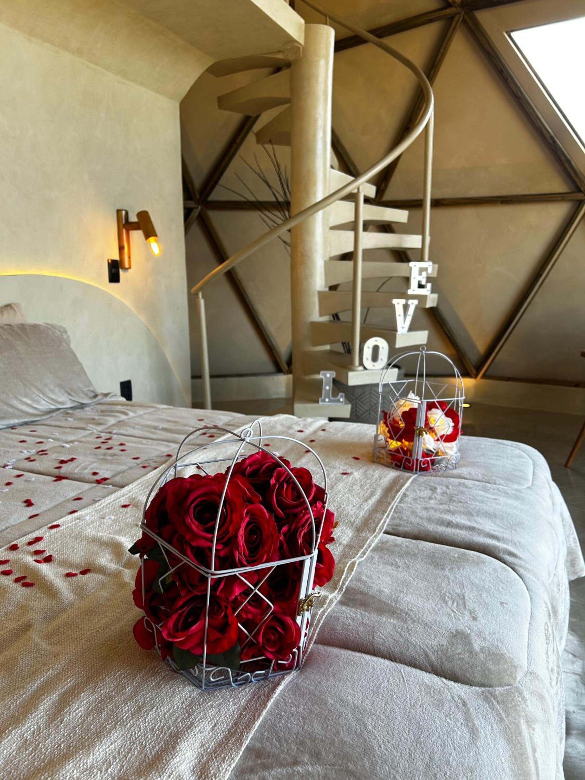 Deluxe Room photo 1