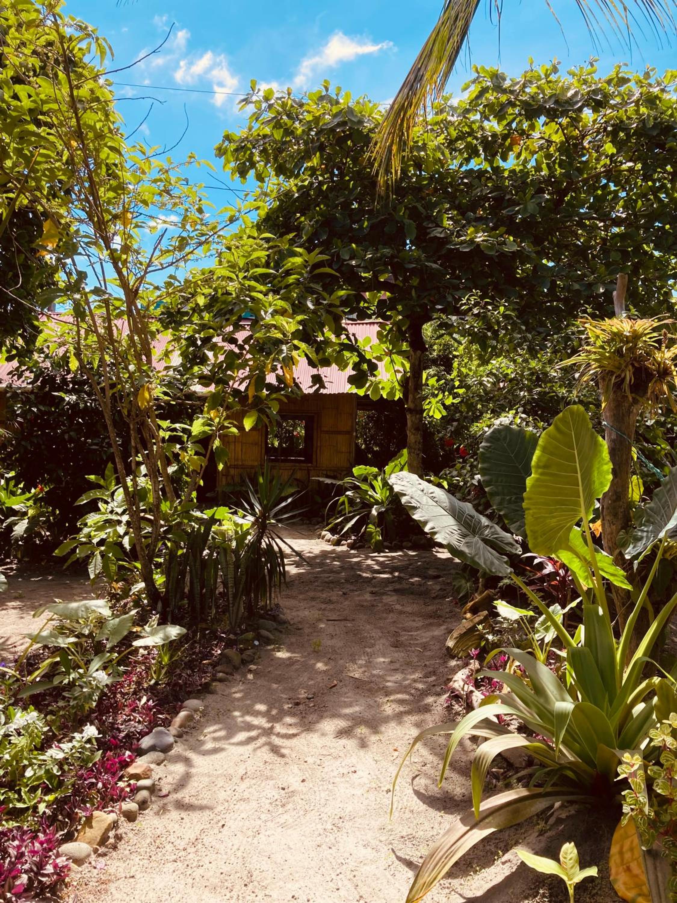 Double Room with Garden View photo 2