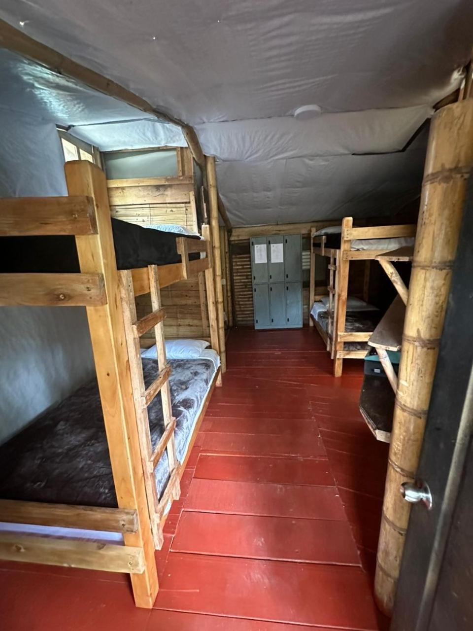 Single Bed In Mixed Dormitory Room photo 1