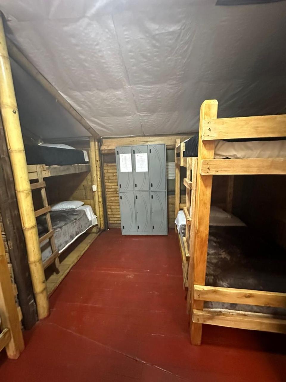 Single Bed In Mixed Dormitory Room photo 2