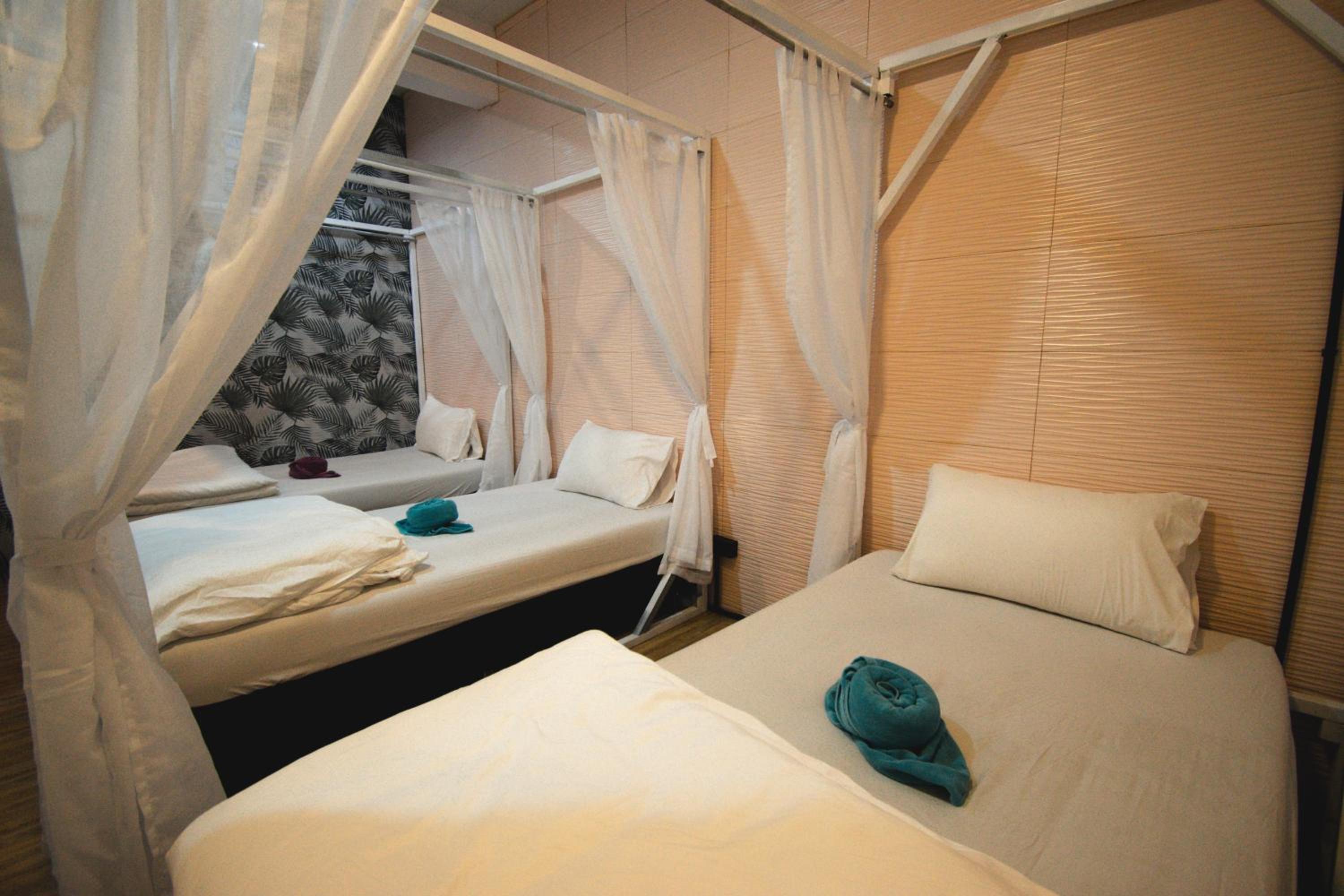 Bed in 4-Bed Mixed Dormitory Room photo 1