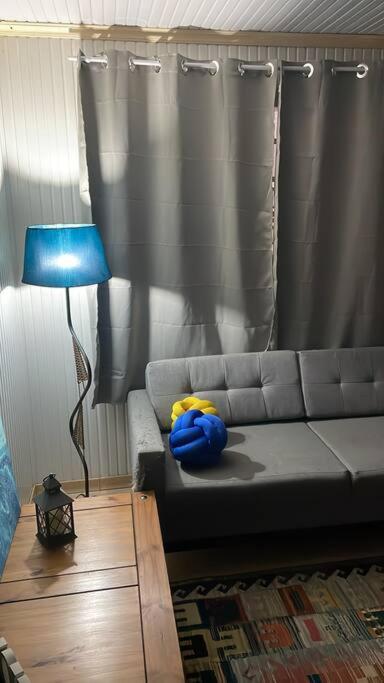 One-Bedroom Apartment photo 3