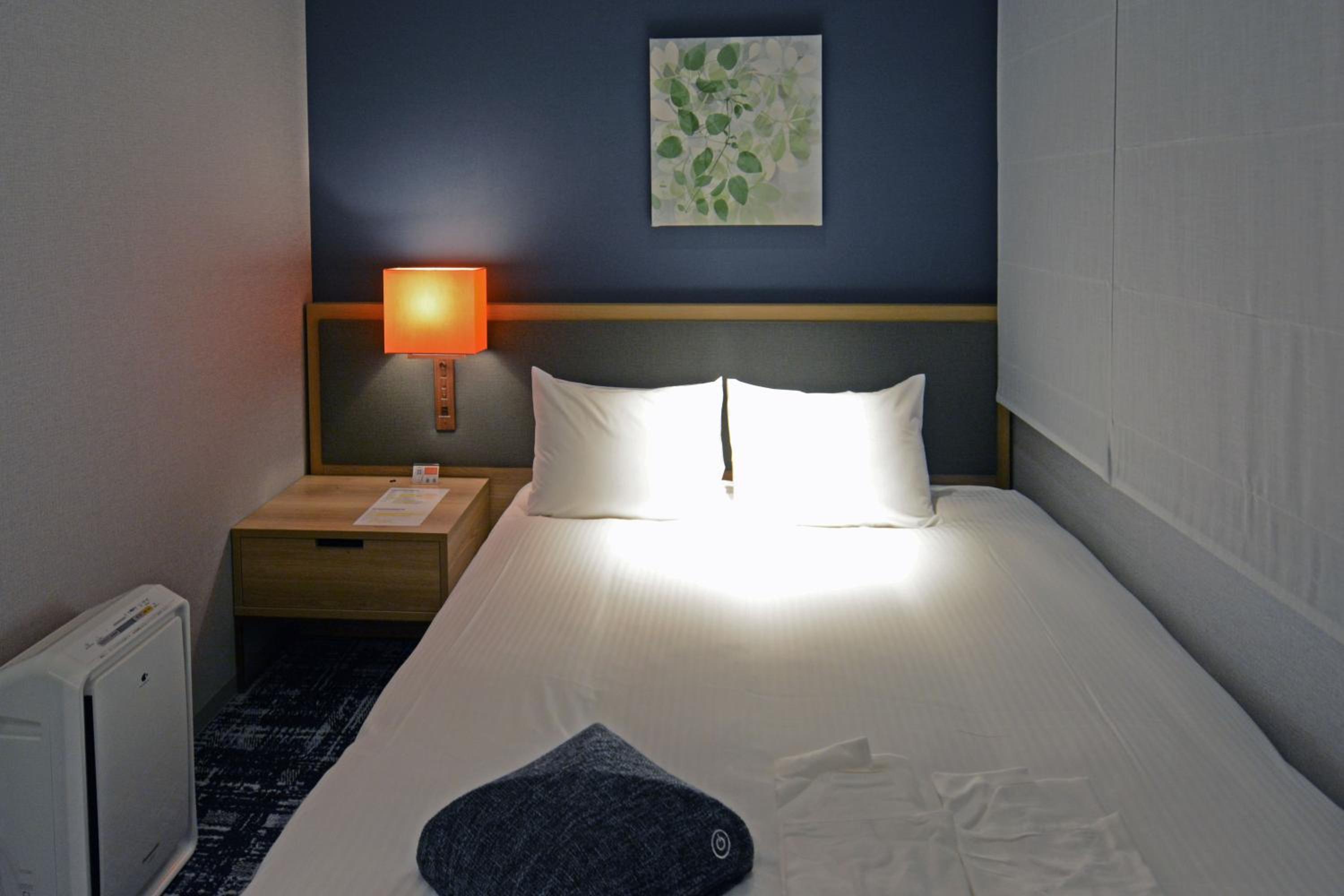 Deluxe Double Room for Single Use