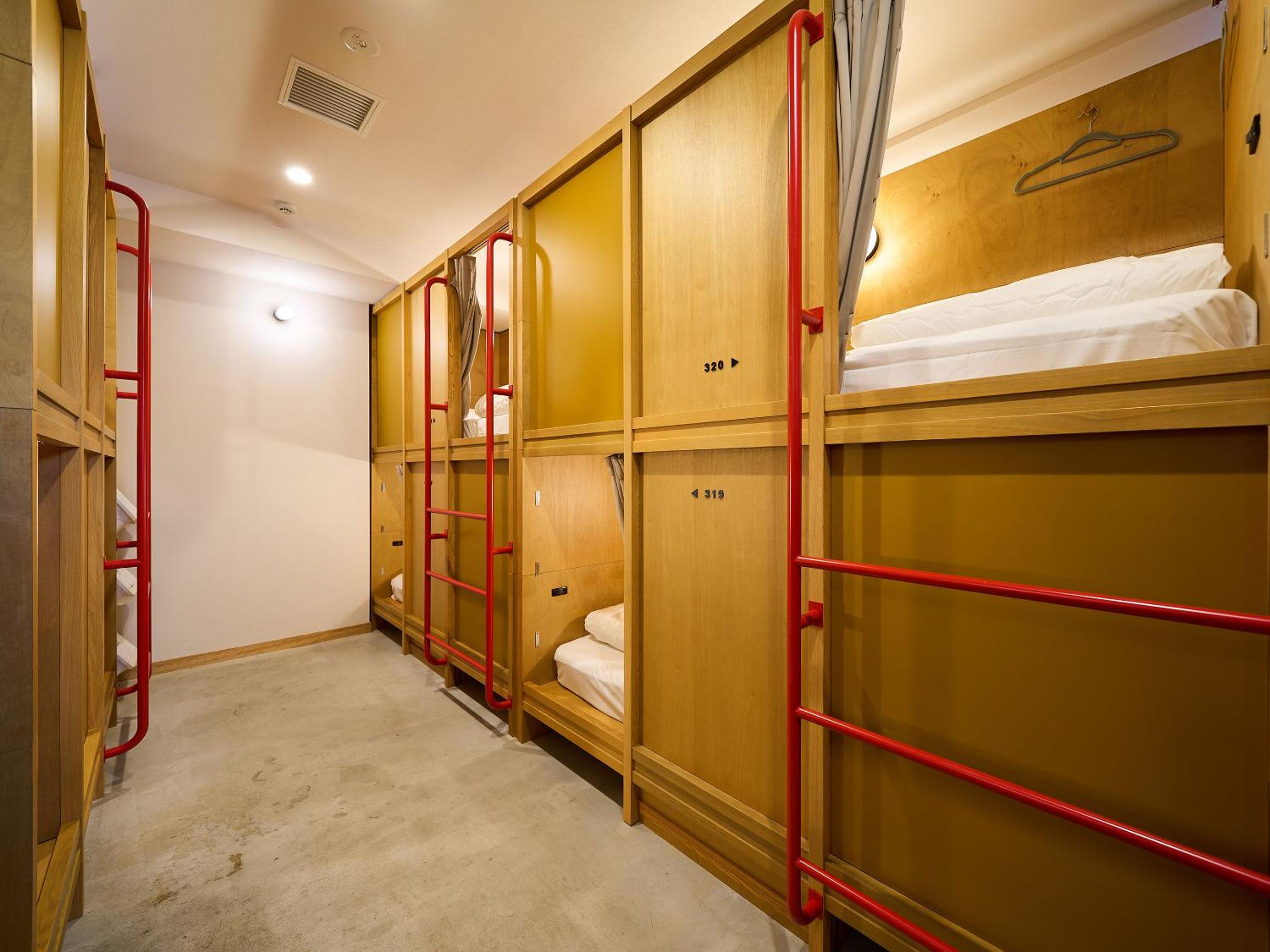 Bunk Bed in Mixed Dormitory Room photo 2