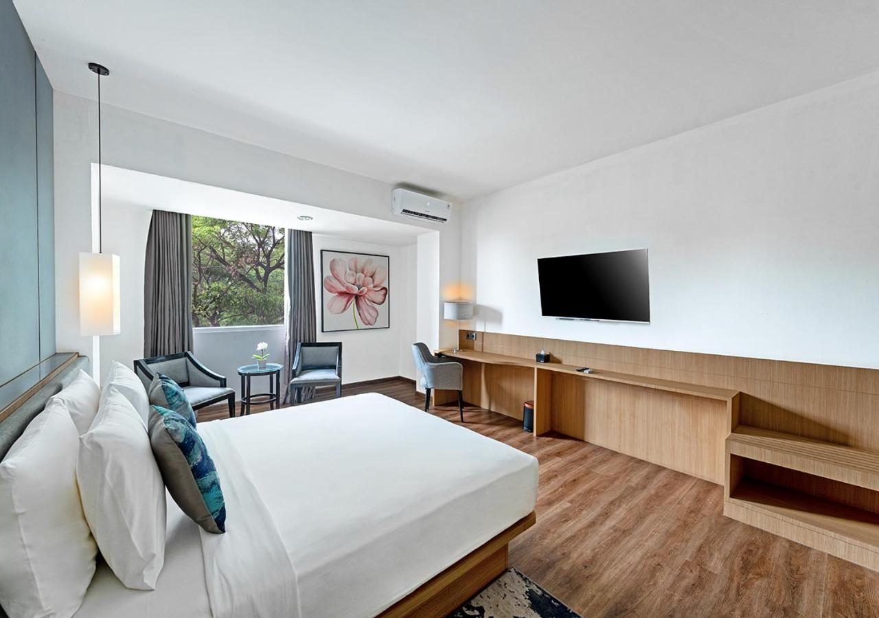 Deluxe King Room - Photo 4
