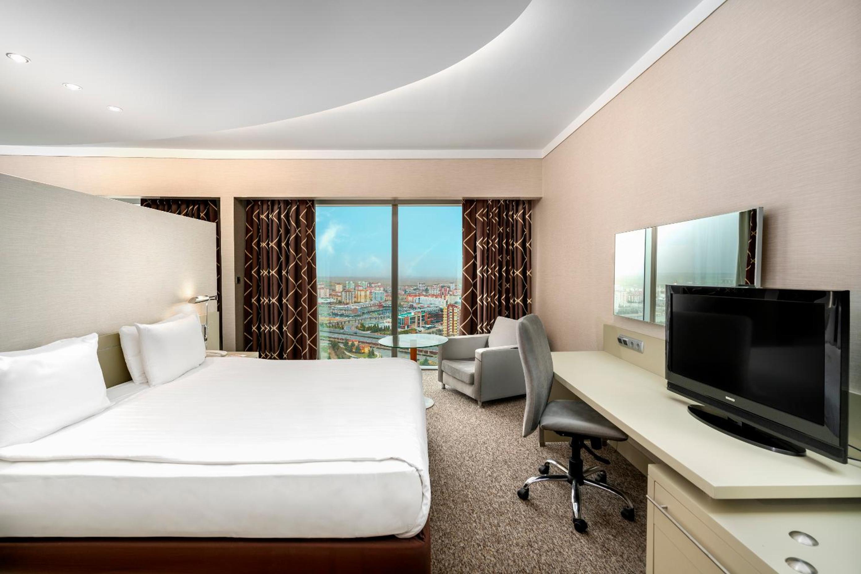 Suite - Photo 1