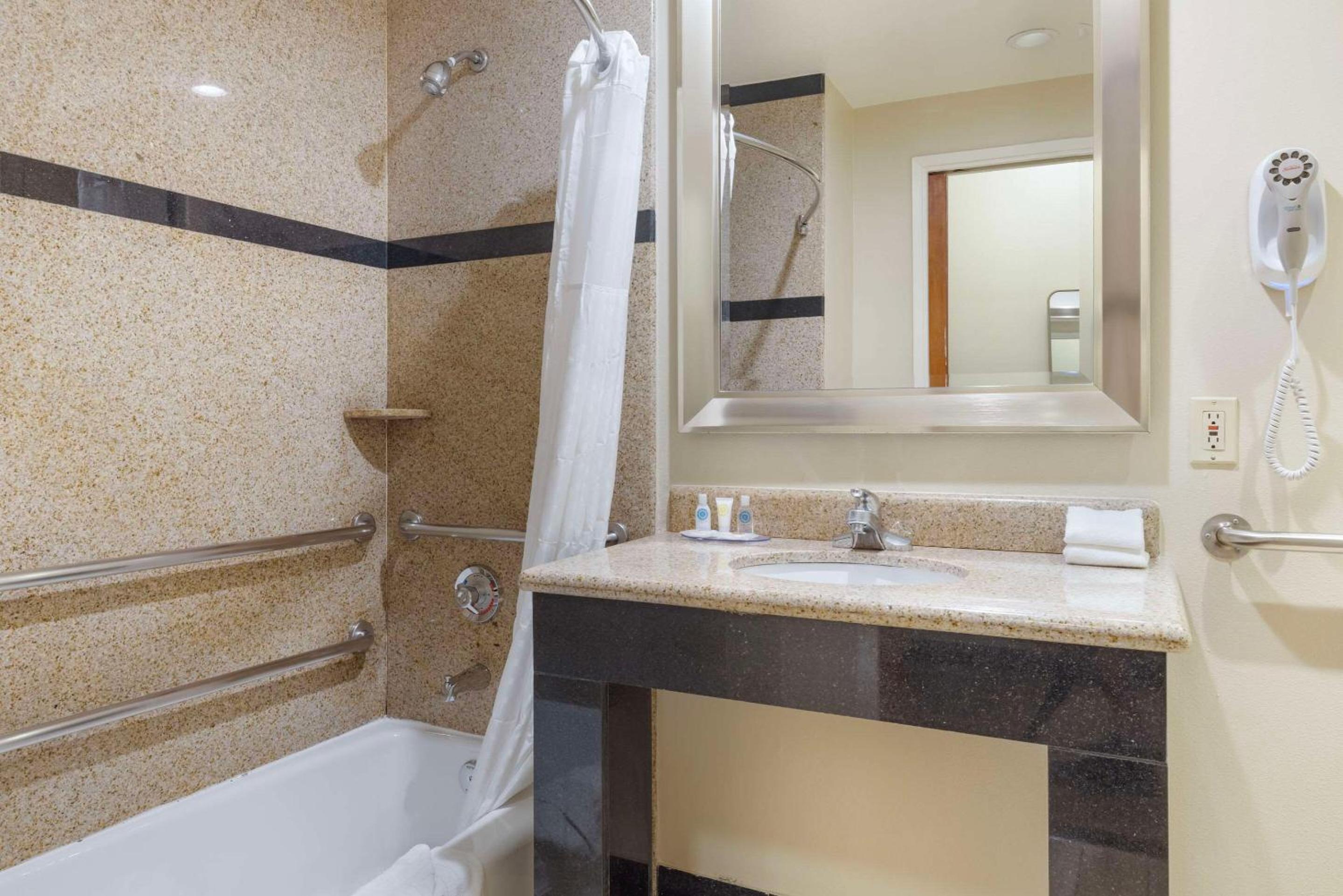Accessible Junior Suite, 1 King Bed, Sofa Bed, Tub, Non Smoking - Photo 6