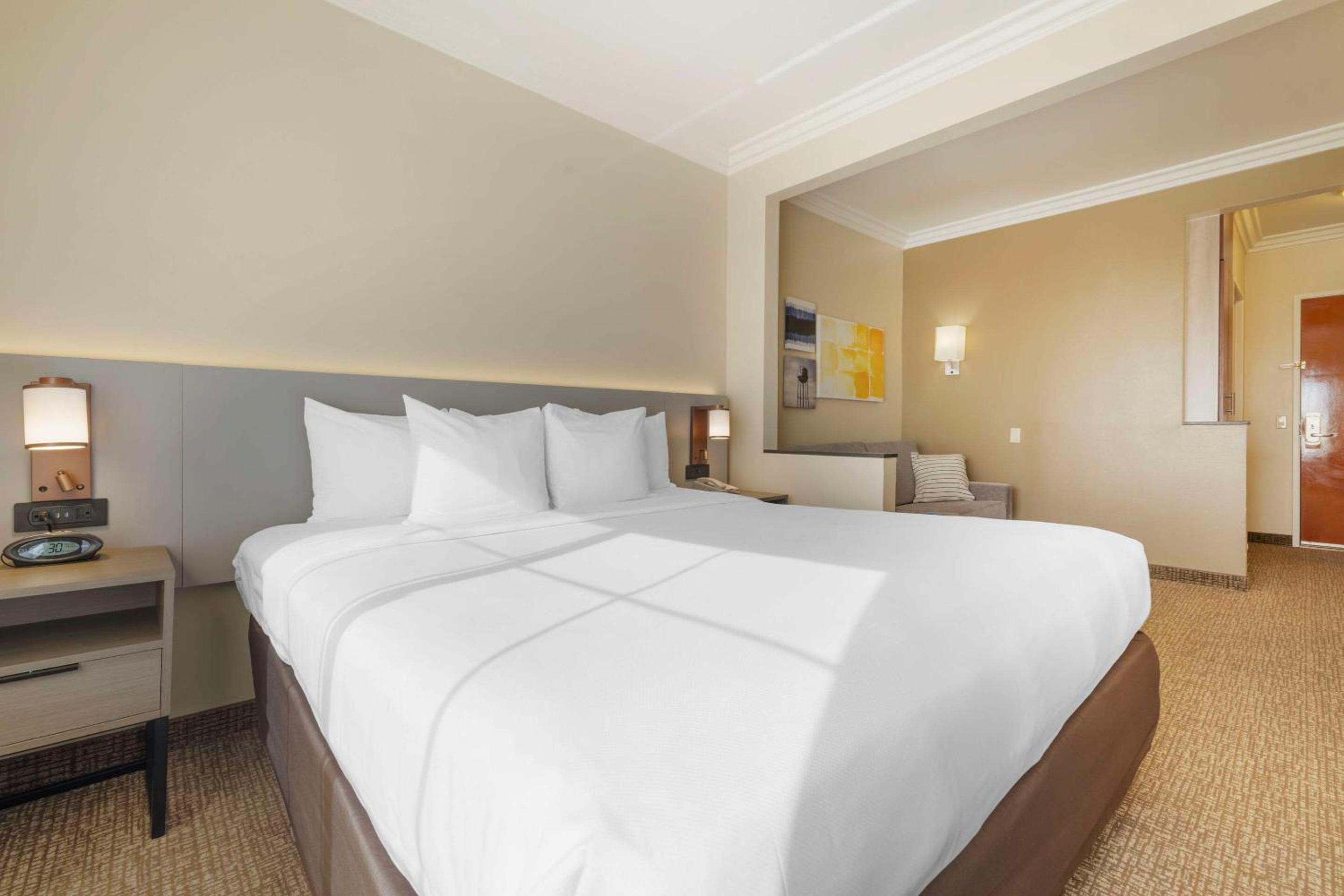 Junior Suite, 1 King Bed, Sofa Bed, Non Smoking - Photo 3