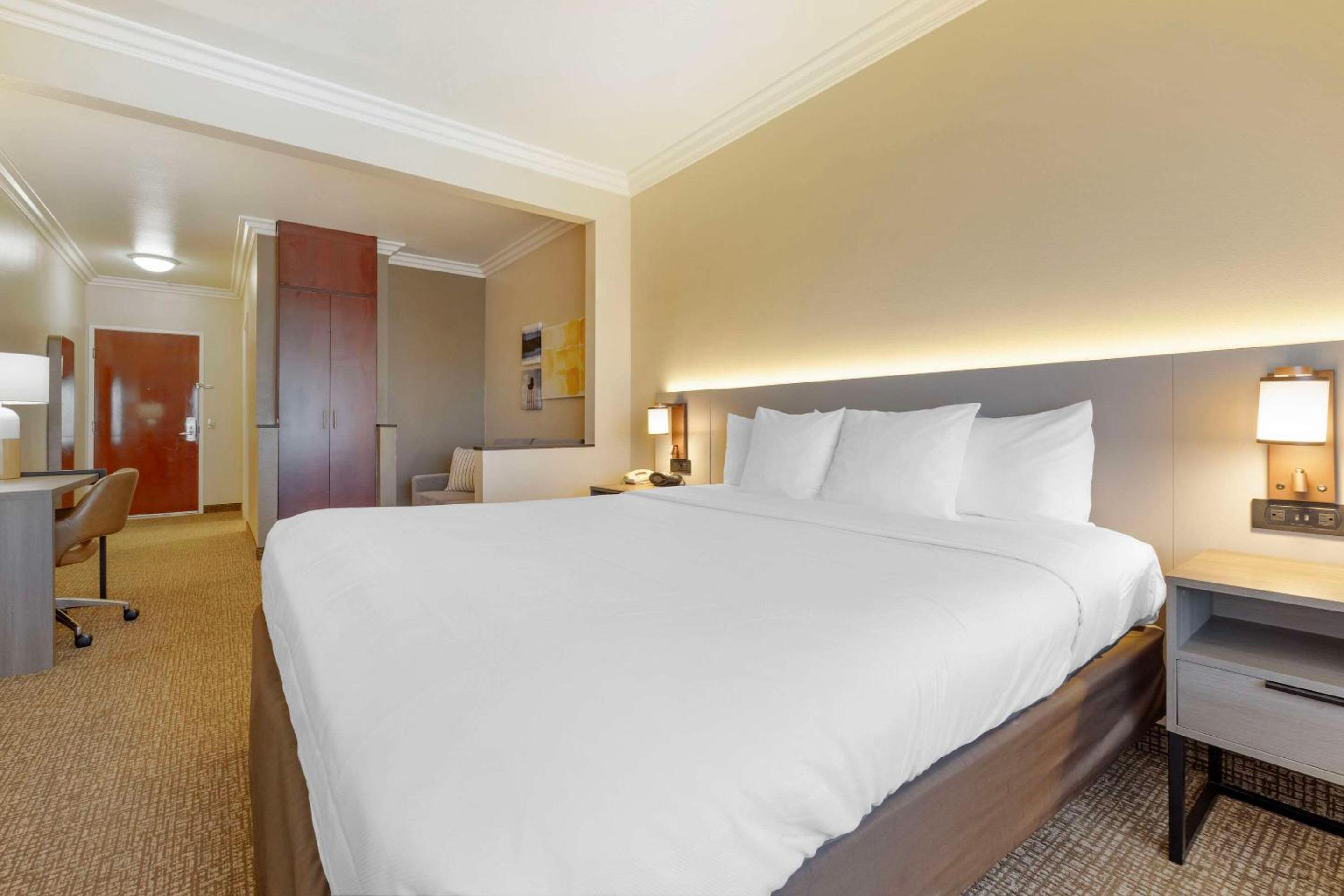 Accessible Junior Suite, 1 King Bed, Sofa Bed, Tub, Non Smoking - Photo 2