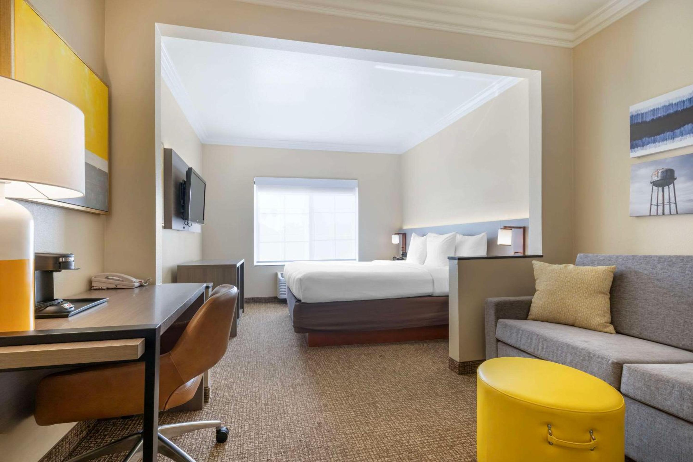 Accessible Junior Suite, 1 King Bed, Sofa Bed, Tub, Non Smoking - Photo 1