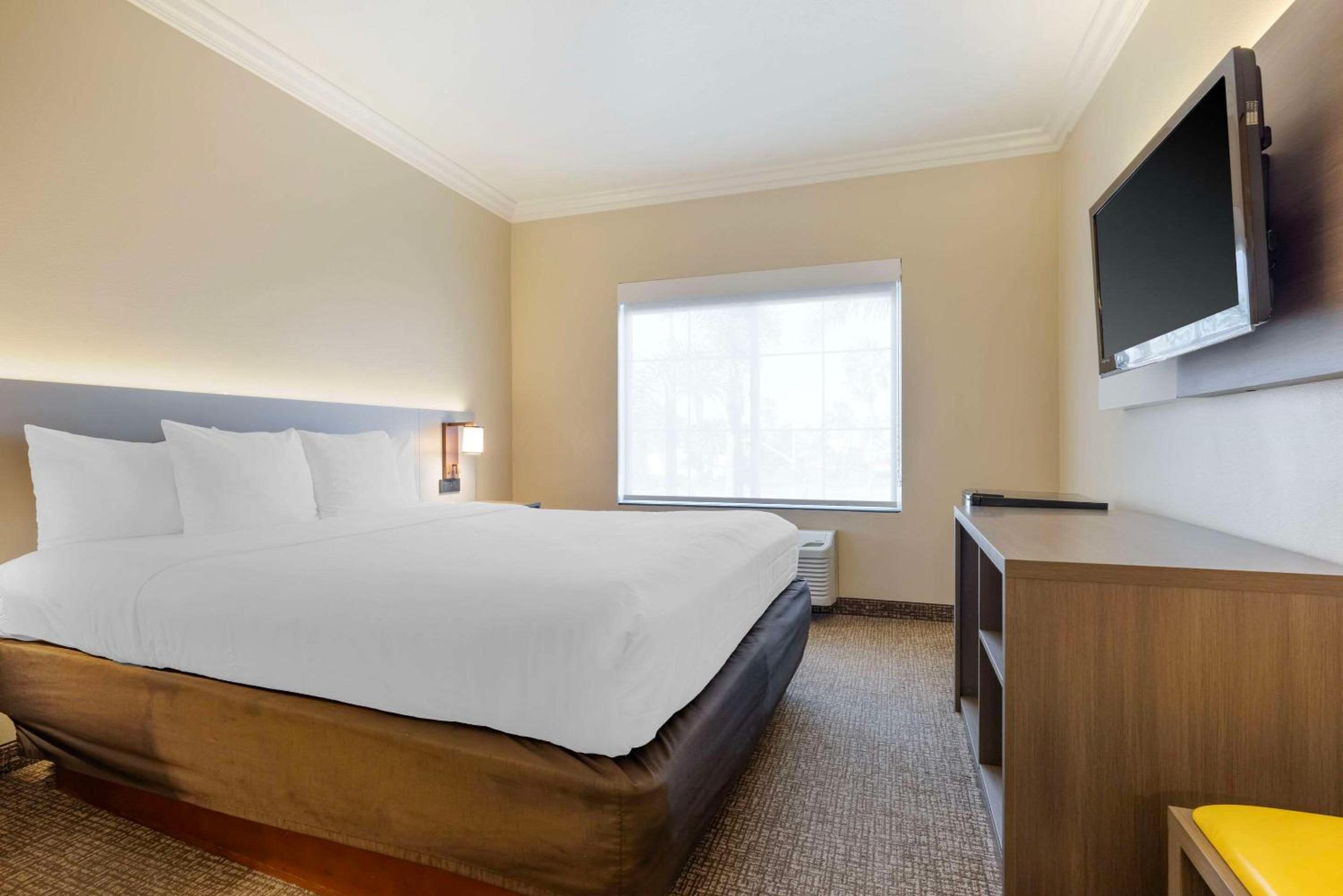 Accessible Junior Suite, 1 King Bed, Sofa Bed, Tub, Non Smoking - Photo 3
