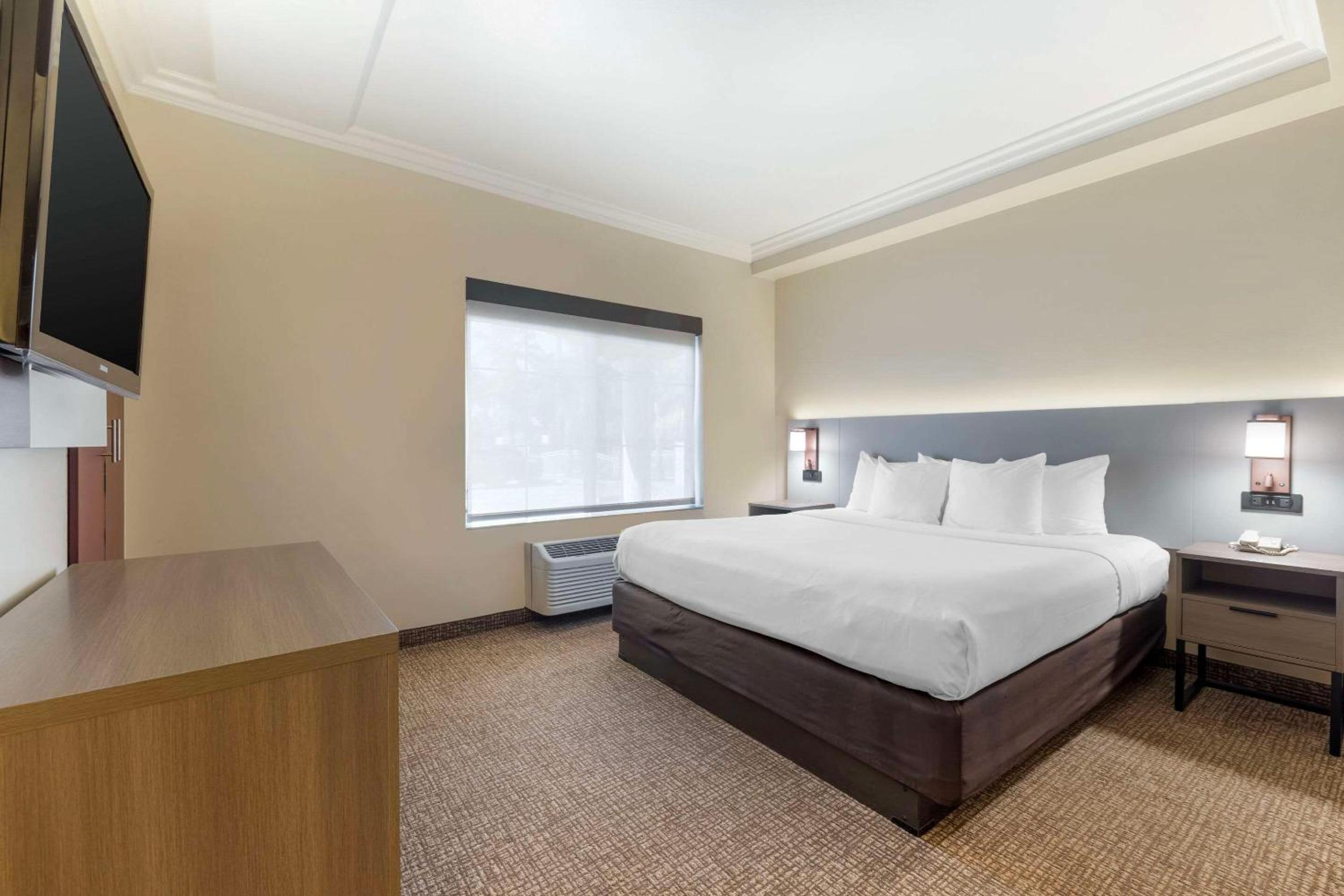 Junior Suite, 1 King Bed, Sofa Bed, Non Smoking - Photo 6