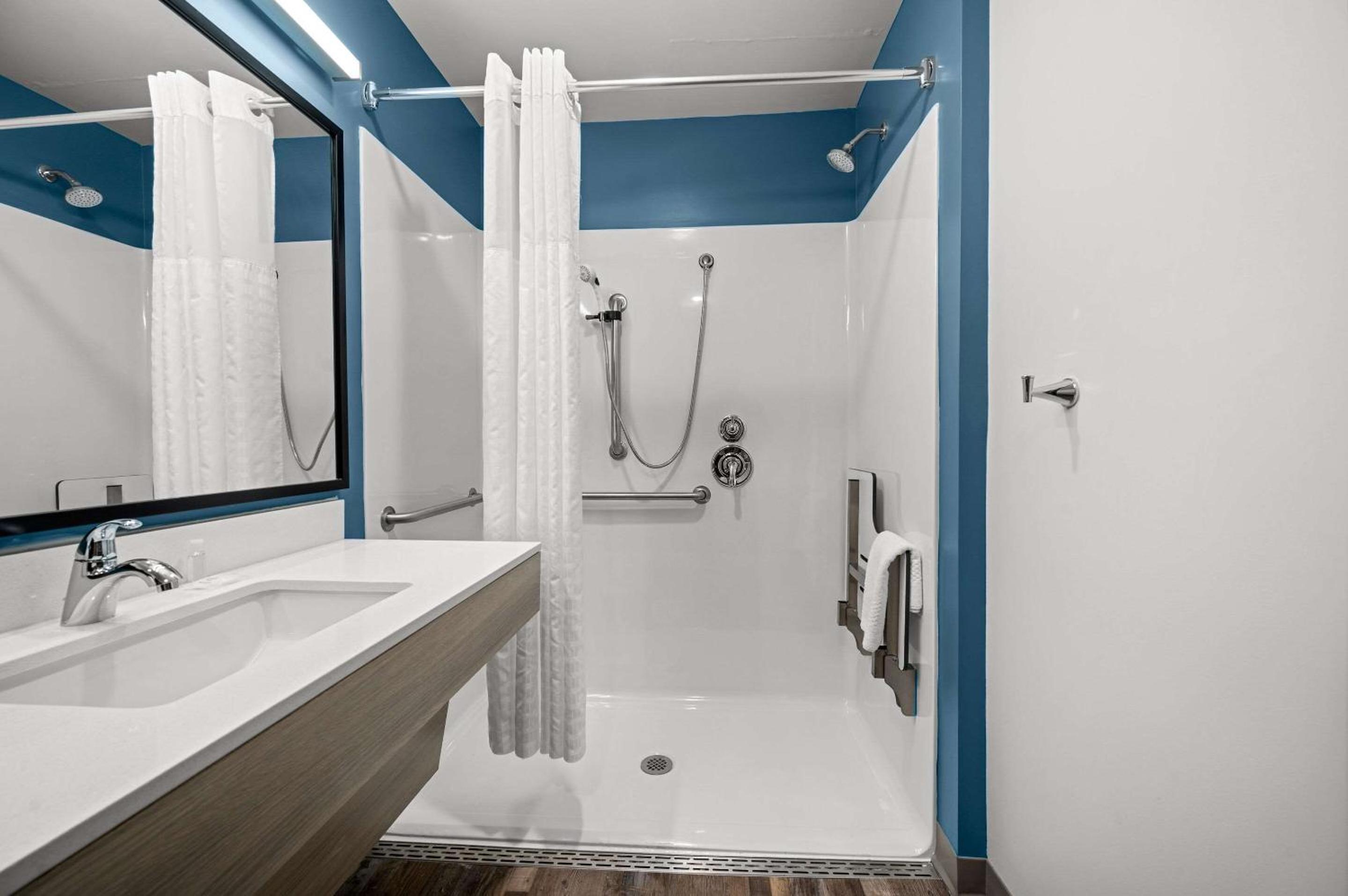 QUEEN SUITE ACCESSIBLE ROLL IN SHOWER - Photo 4
