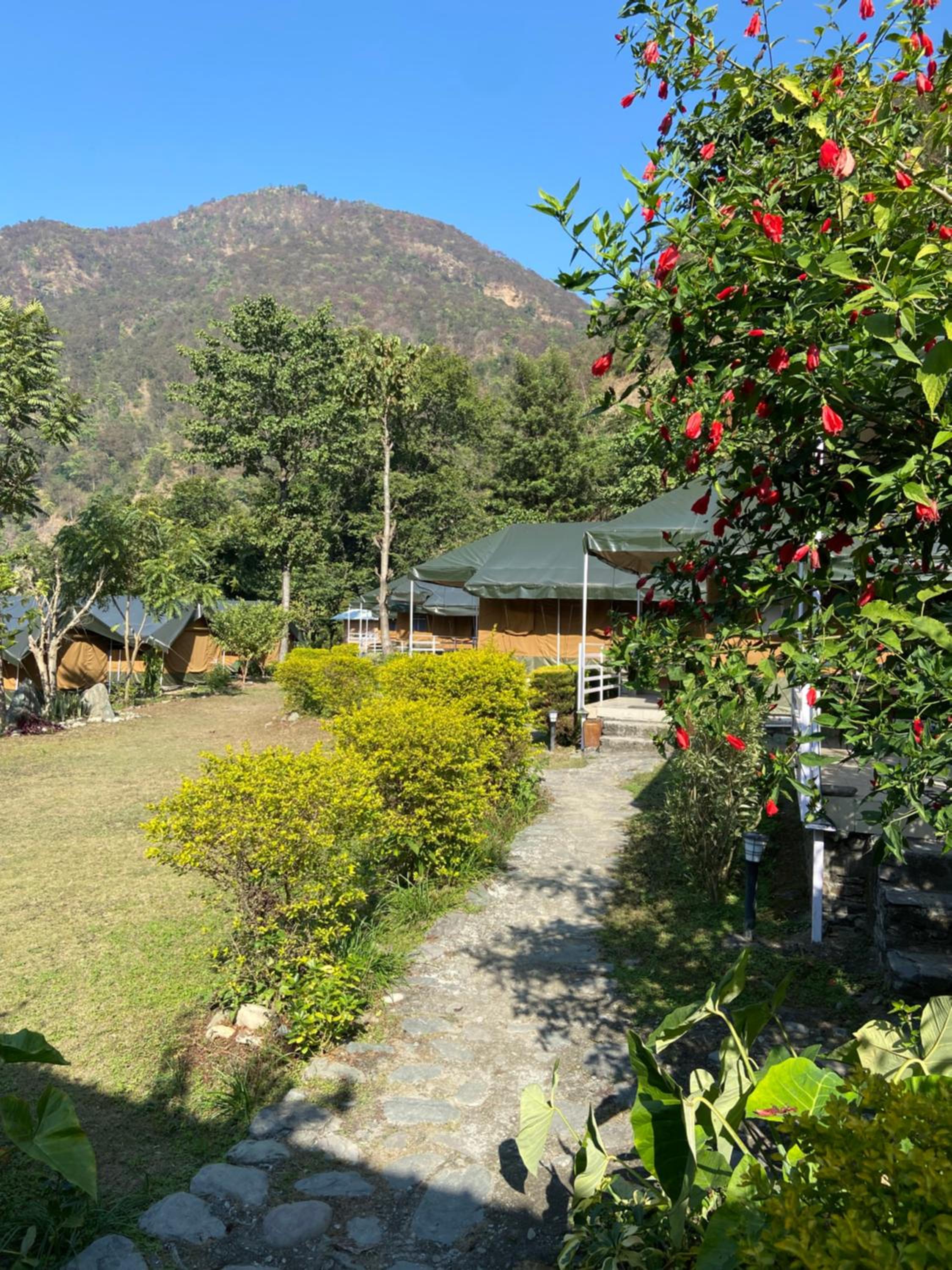 Superior Double or Twin Room with Mountain View photo 2